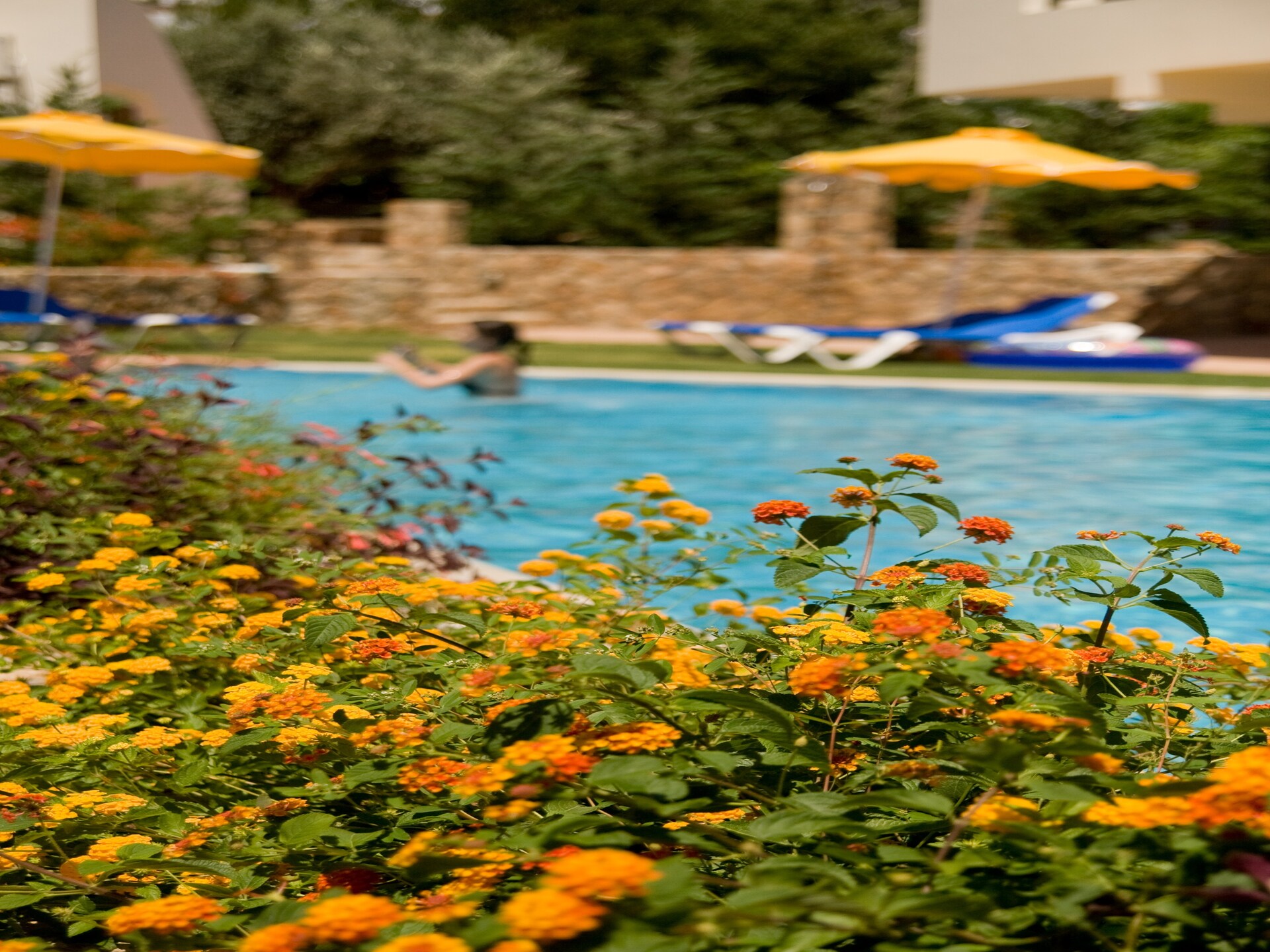 Blue Dream Superior Villa: Luxe vrijstaat nabij Lindos met privézwembad - foto 15