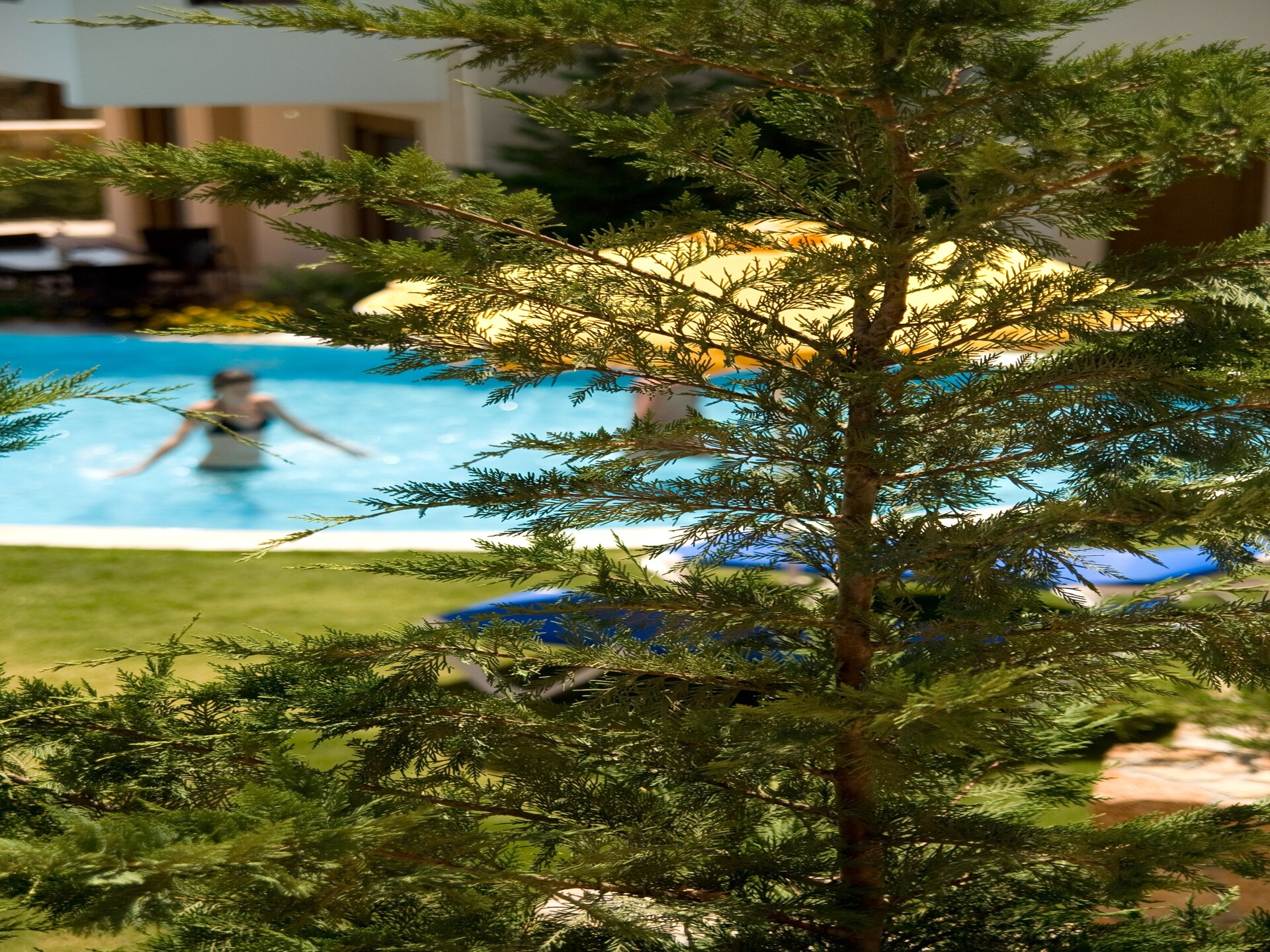 Blue Dream Garden Executive Villa: Luxe 2-slaapkamervilla op 130m van het strand in Pefkos-Lindos - foto 18