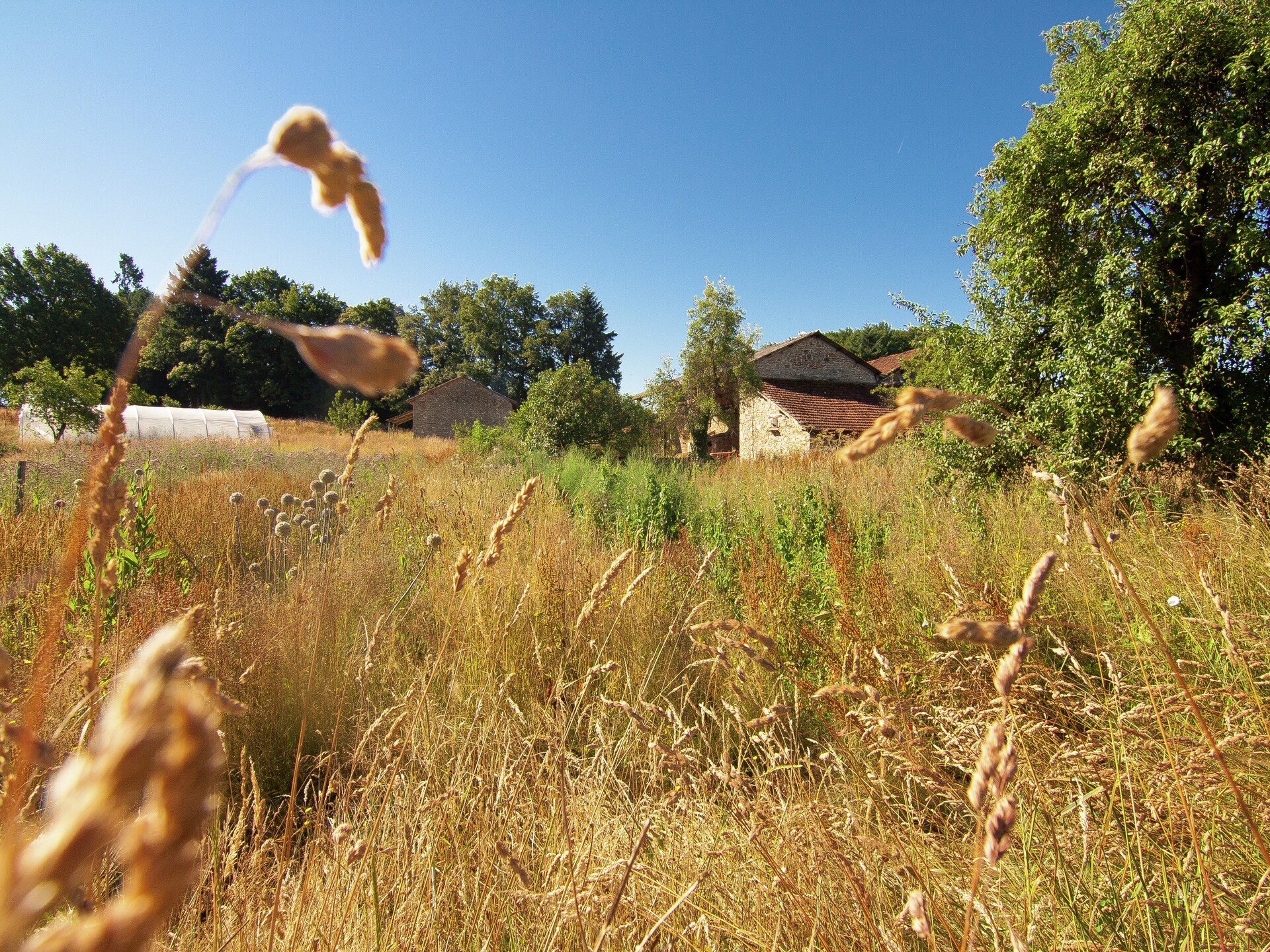 Landhuis La Marguerite met zwembad en uitzicht op de Vienne-vallei - foto 32