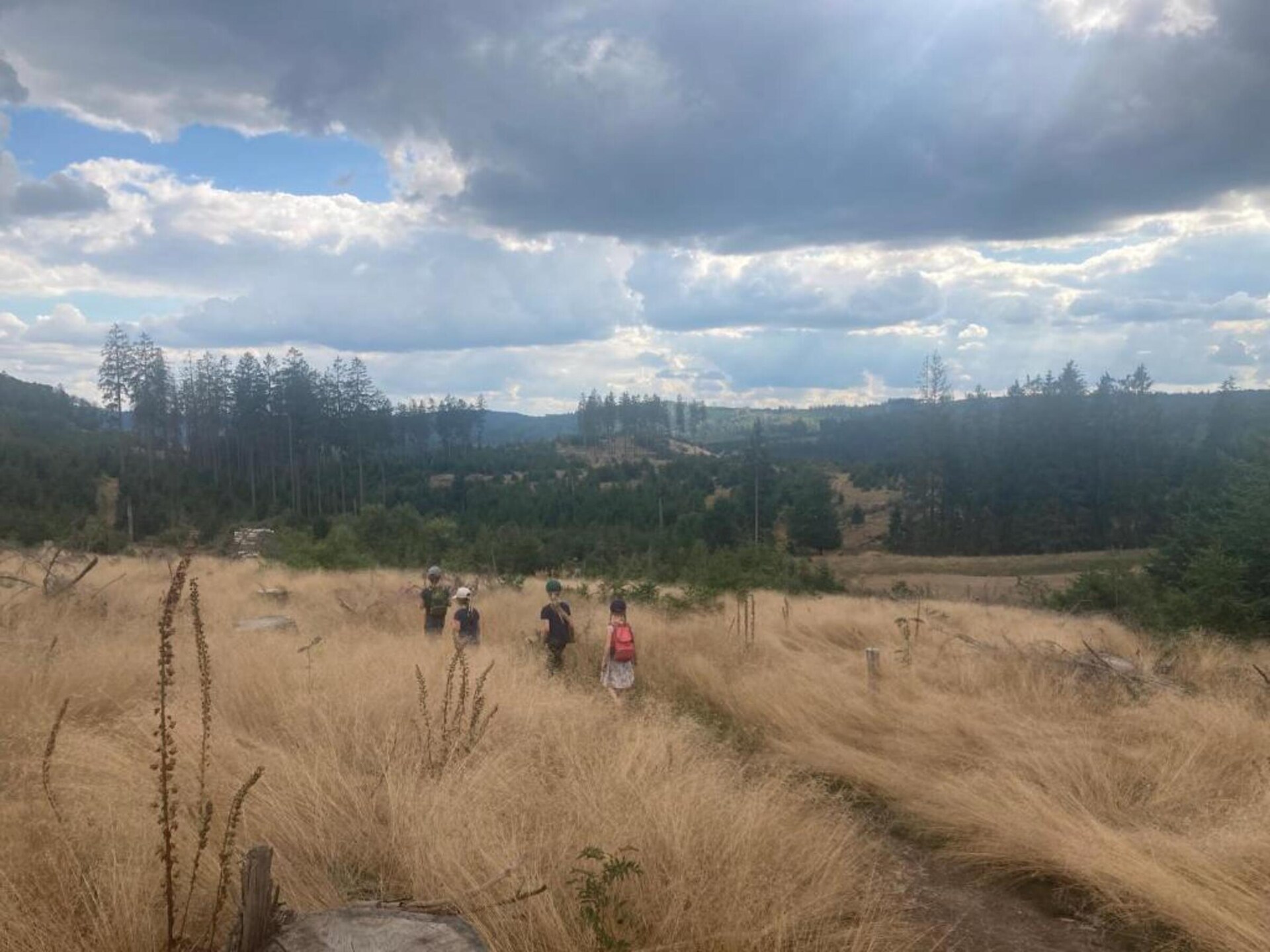 Ruim 16-persoons groepsverblijf in Medebach, direct aan het bos - foto 40
