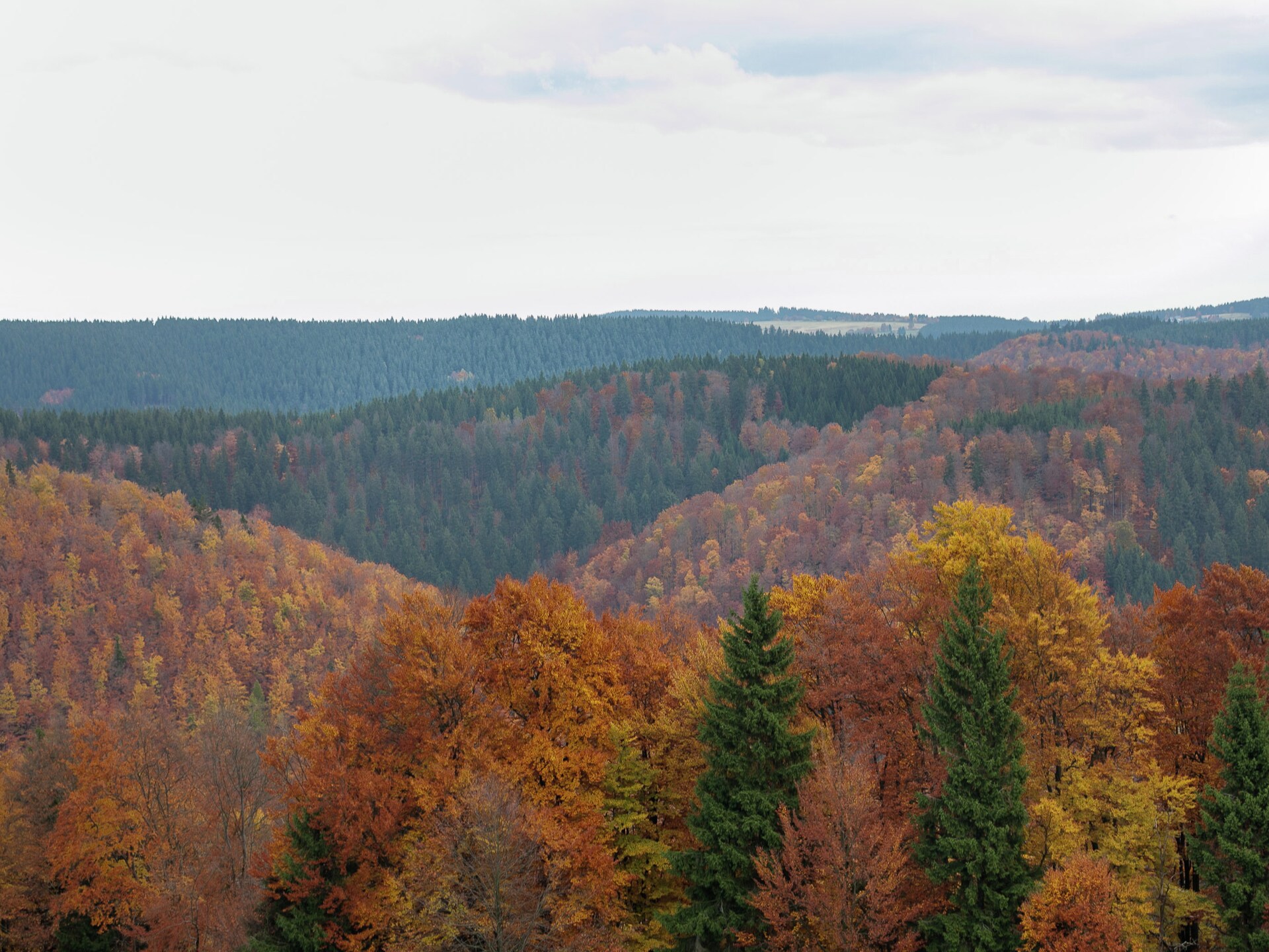 Knus bosappartement voor 2 aan de Rennsteig in Frauenwald - foto 26