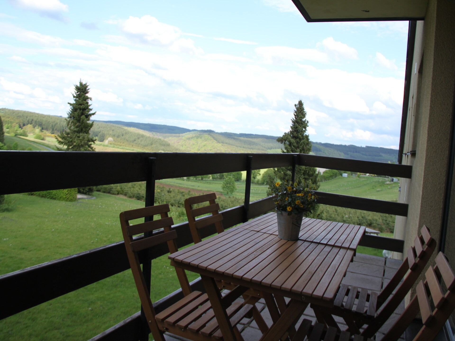Rustiek appartement voor 4 in de bossen bij Gros-Fays, Ardennen - foto 26