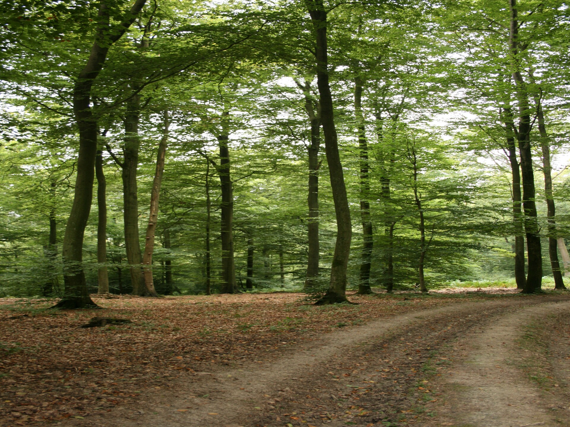 Rustiek appartement voor 4 in de bossen bij Gros-Fays, Ardennen - foto 34
