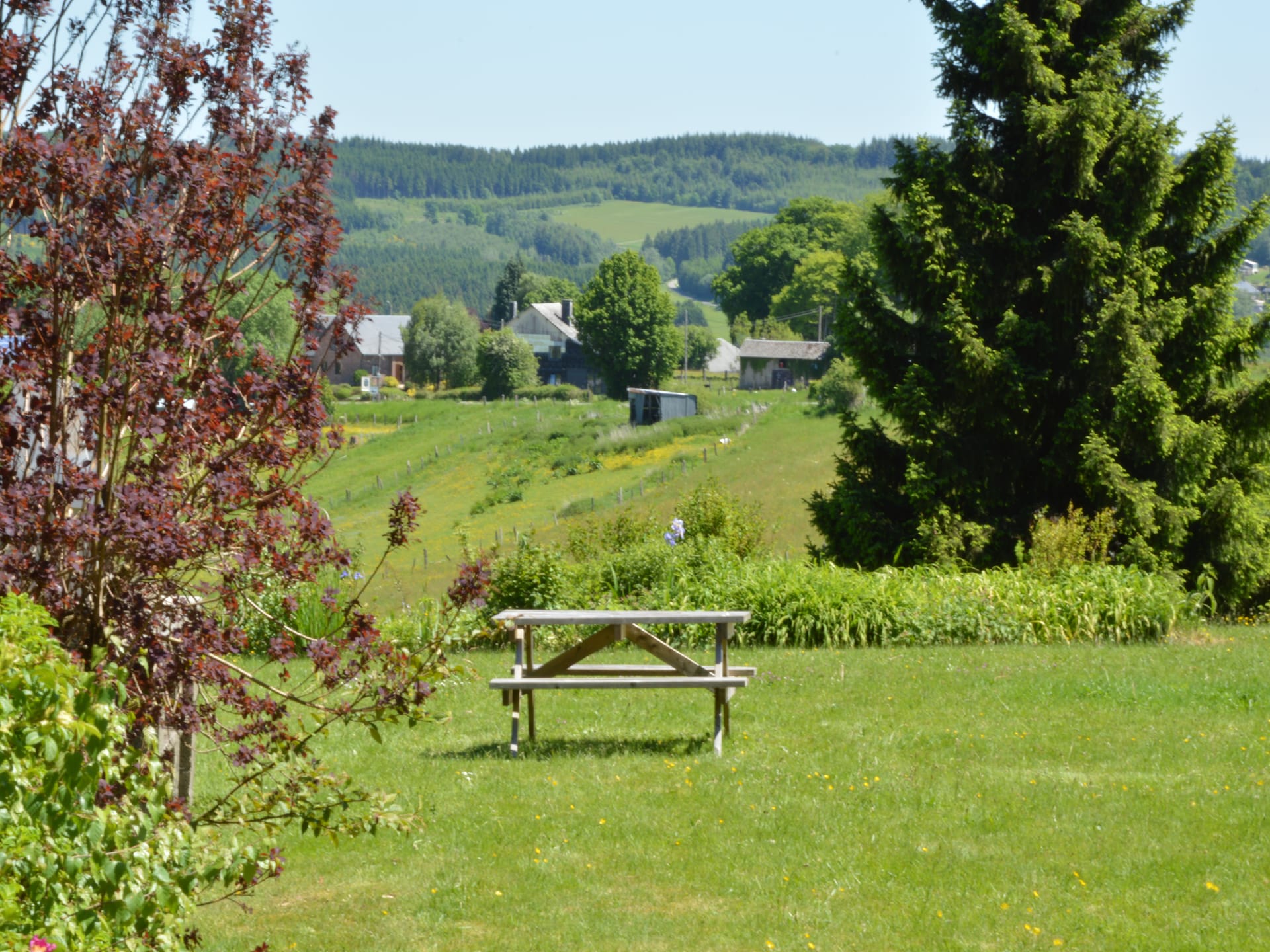 Rustiek appartement voor 4 in de bossen bij Gros-Fays, Ardennen - foto 23