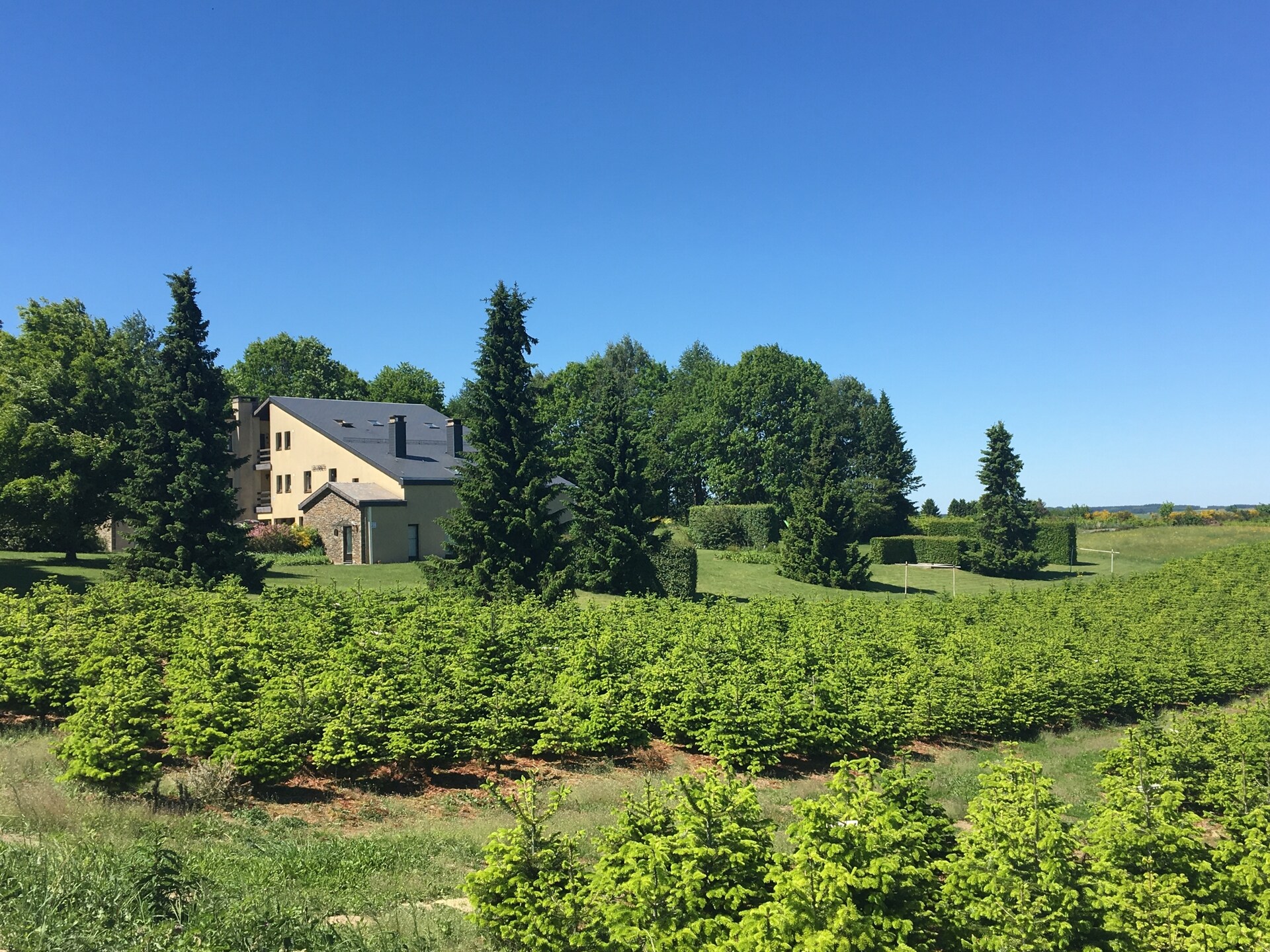 Rustiek appartement voor 4 in de bossen bij Gros-Fays, Ardennen - foto 7