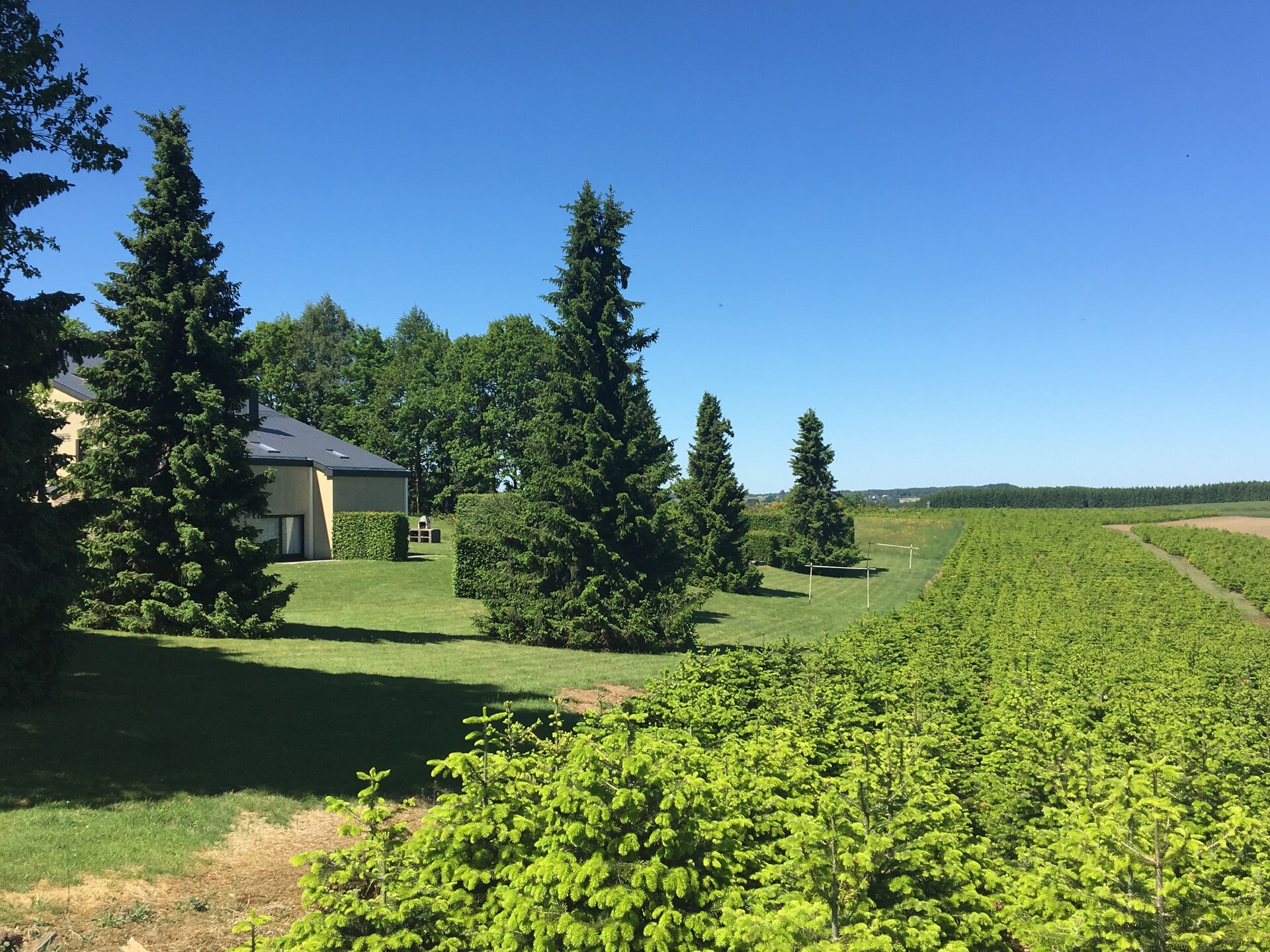 Rustiek appartement voor 4 in de bossen bij Gros-Fays, Ardennen - foto 27