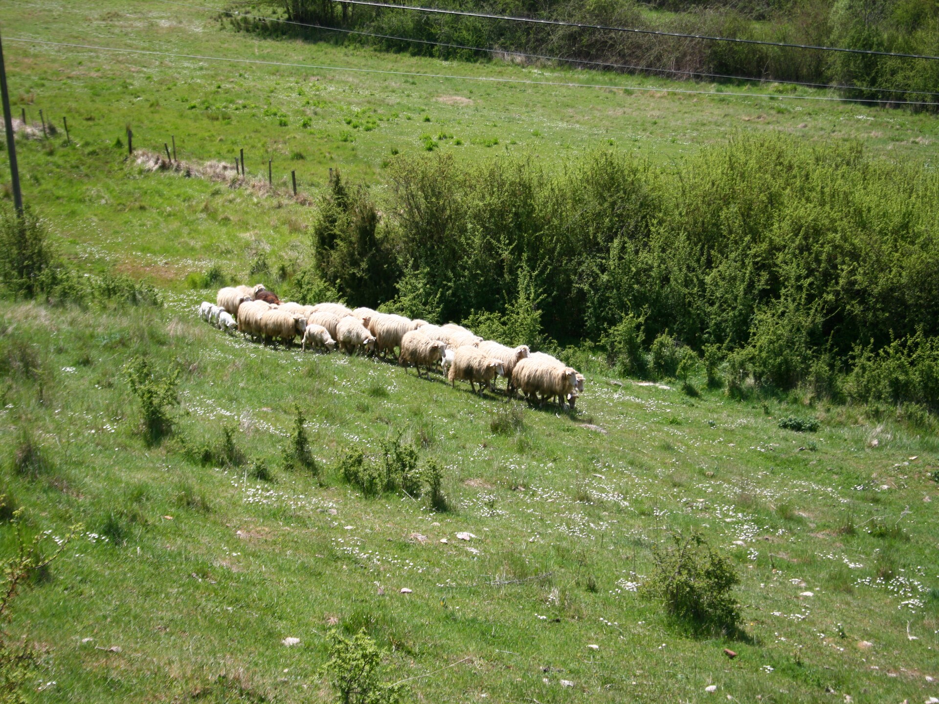 Landelijke boerderij voor 5 personen nabij het Trasimenomeer - foto 25