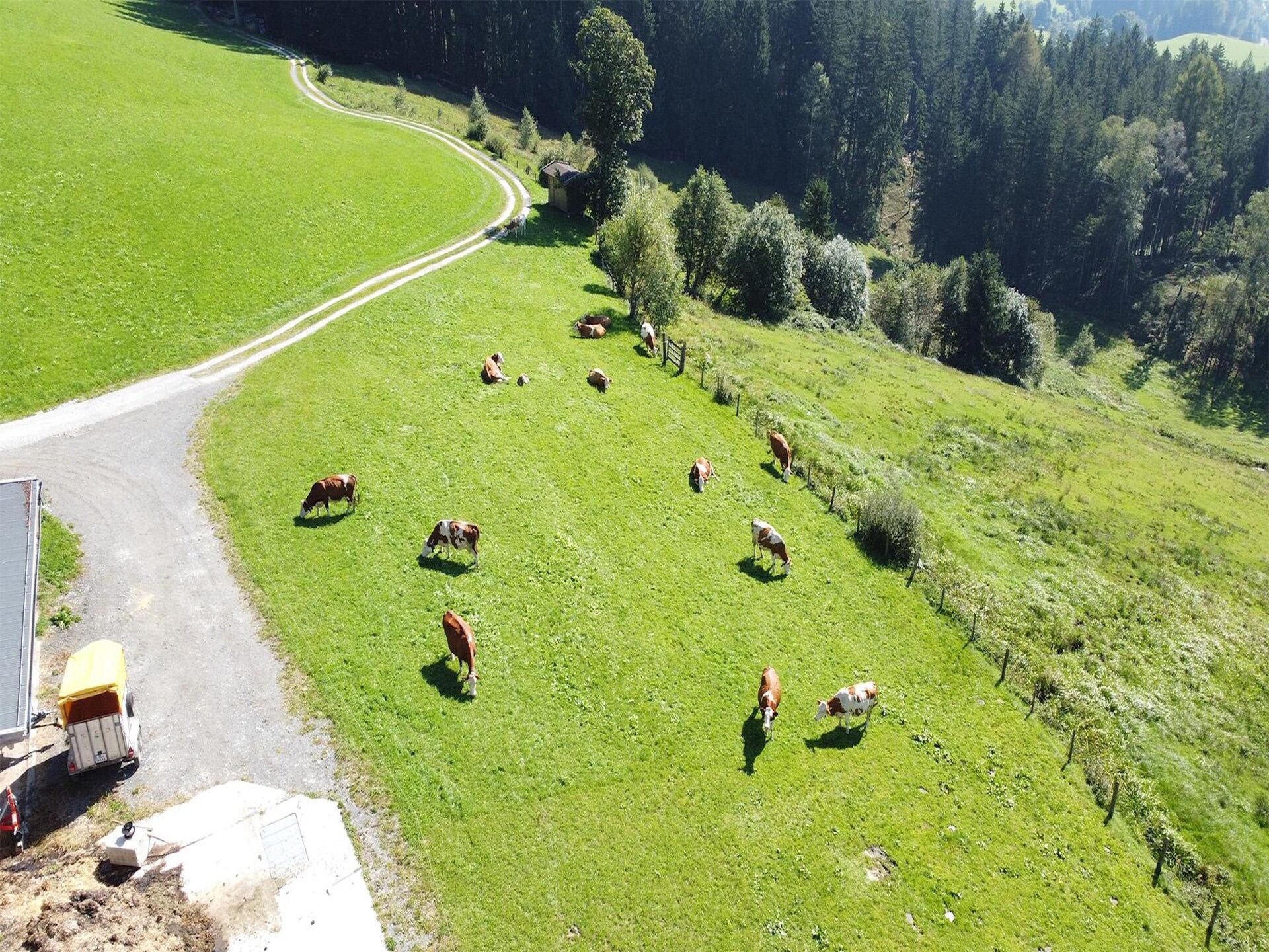 Licht appartement Waldrand in Hollersbach im Pinzgau voor 5 personen - foto 23