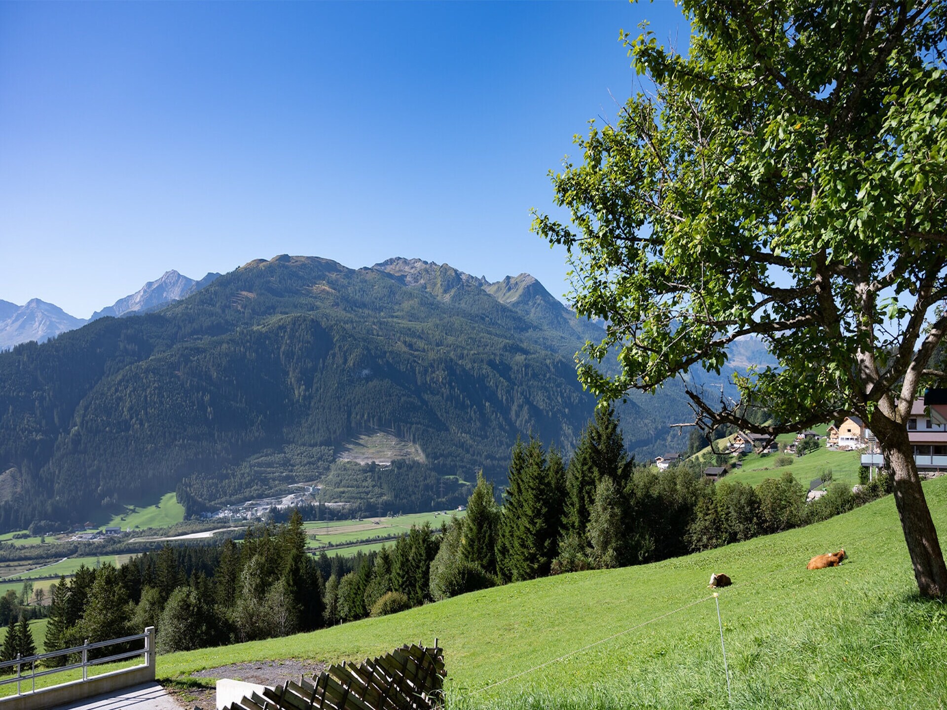 Licht appartement Waldrand in Hollersbach im Pinzgau voor 5 personen - foto 24