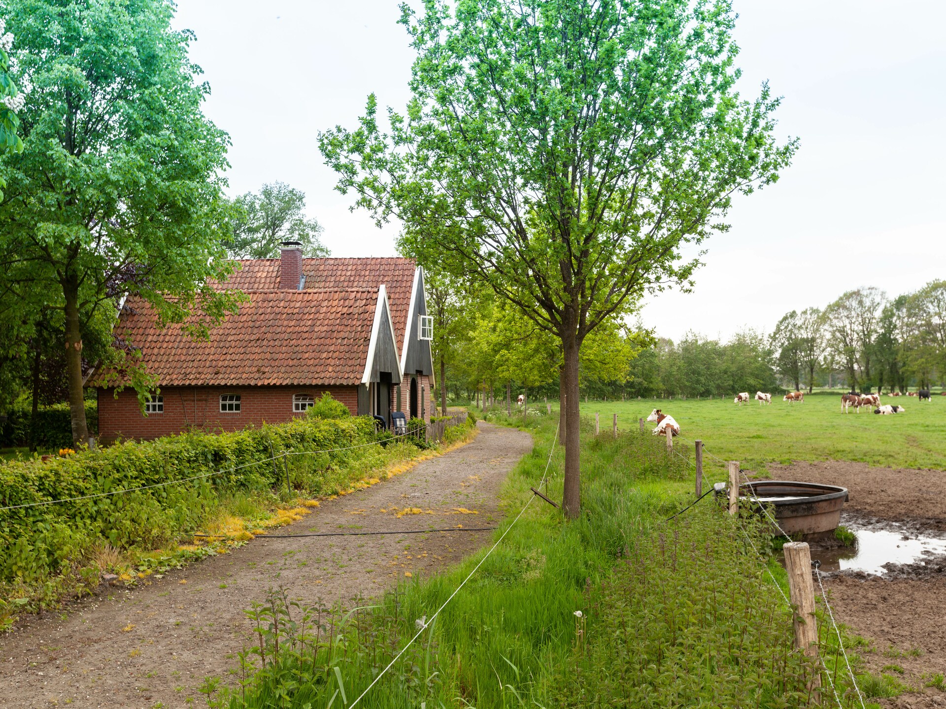 Kotman's Spieker: sfeervolle boerderij voor 12 personen in Enschede - foto 31
