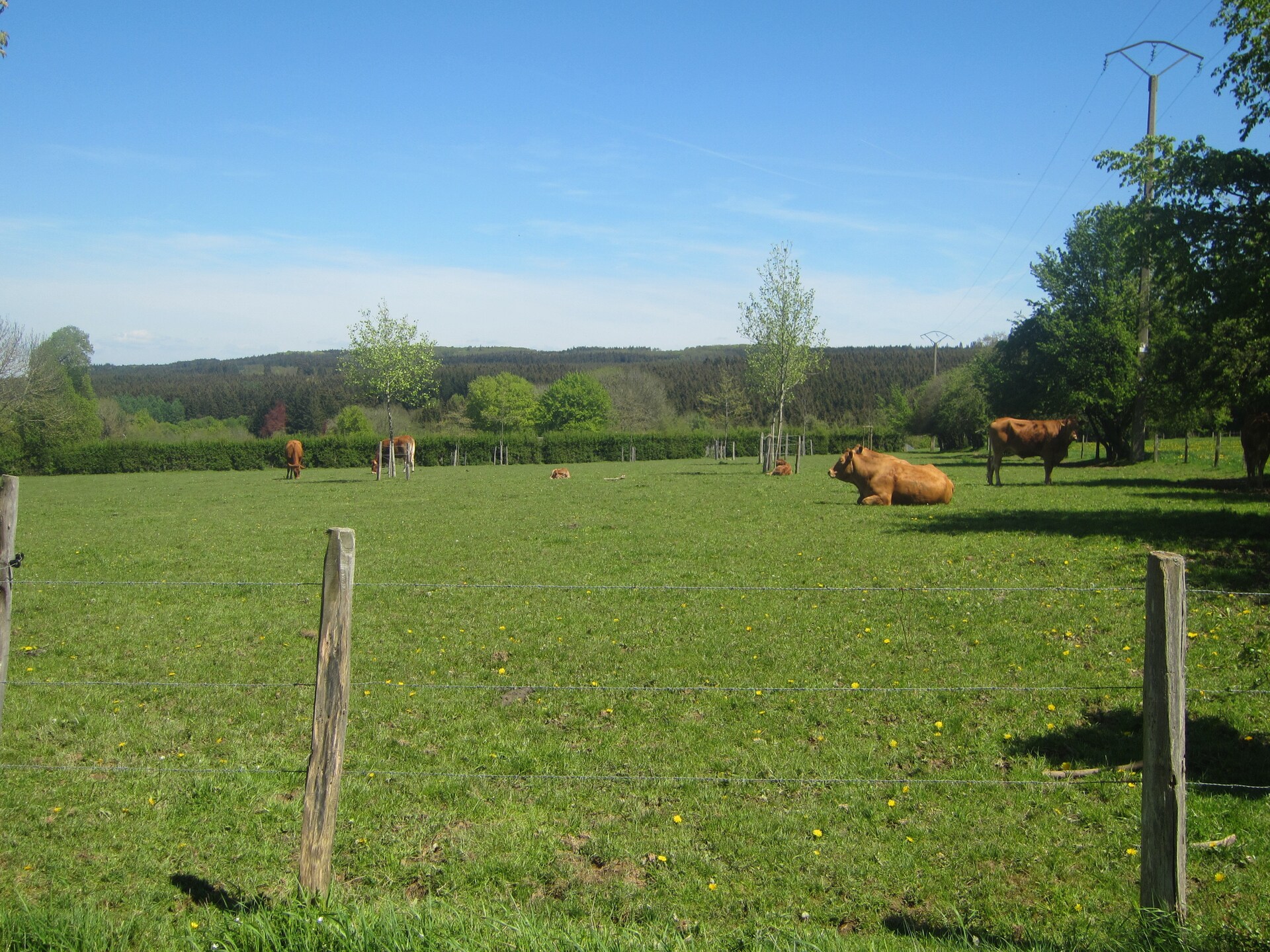 6-persoons vakantiehuis met open haard en tuin in Roumont - foto 40