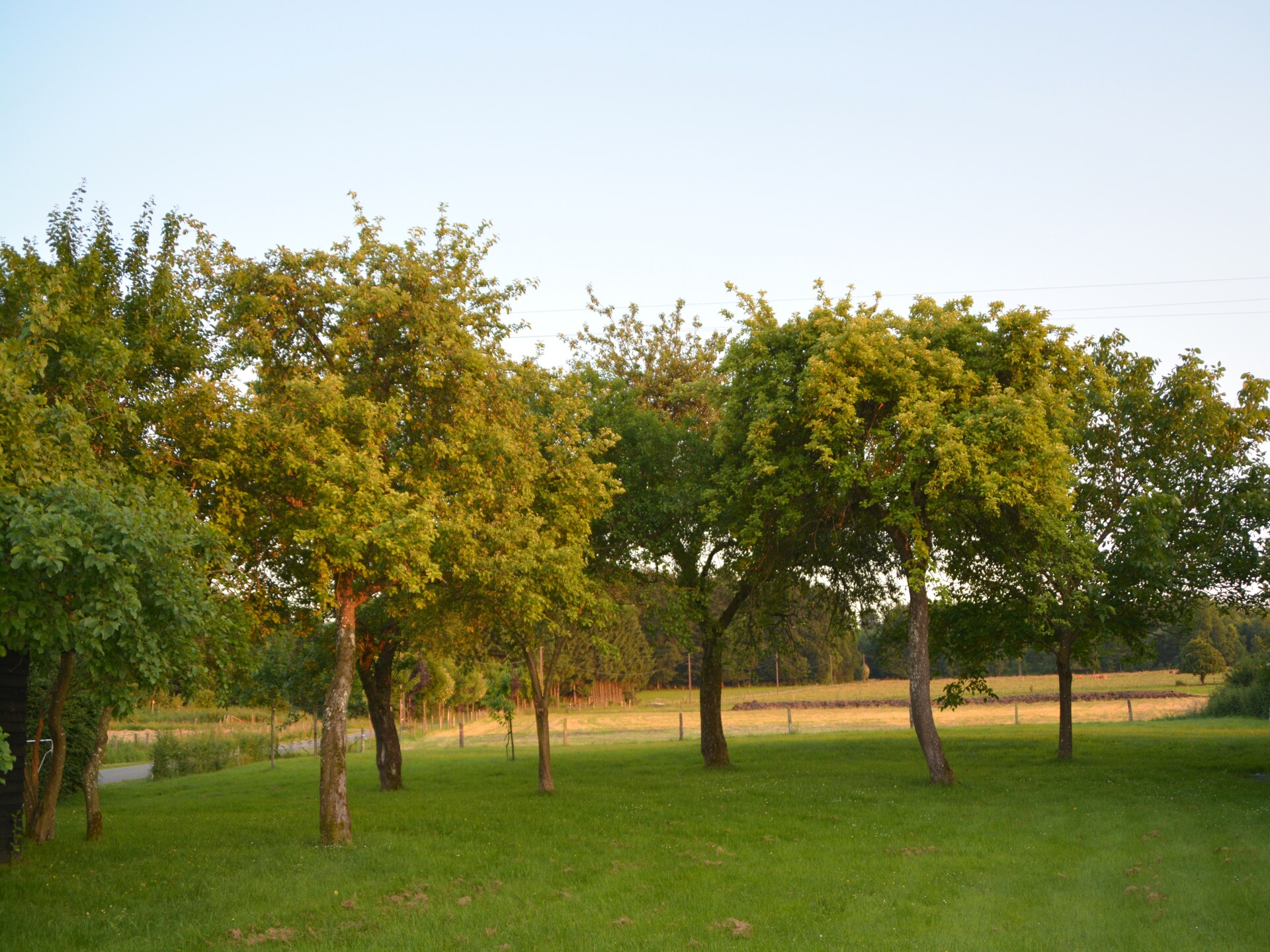 6-persoons vakantiehuis met open haard en tuin in Roumont - foto 38