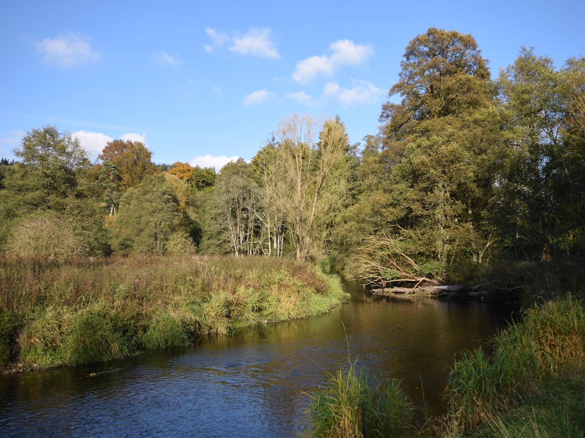 6-persoons vakantiehuis met open haard en tuin in Roumont - foto 30