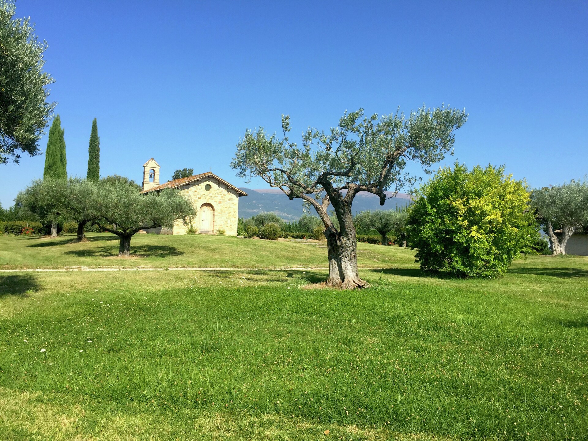 Landhuis Villa Angeli met privézwembad en uitzicht op Assisi - foto 32
