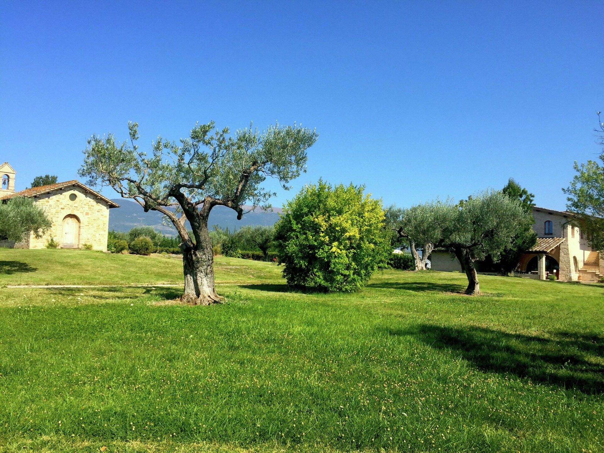 Landhuis Villa Angeli met privézwembad en uitzicht op Assisi - foto 29