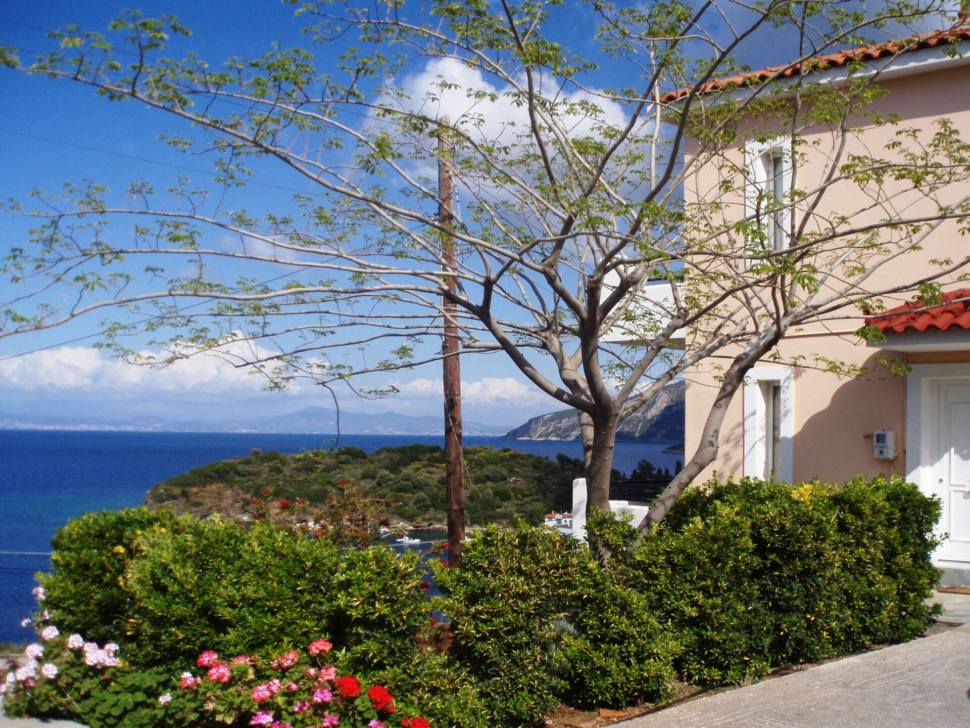 Villa Vasiliki: vrijstaand bosverblijf met privézwembad op 300m van zee - foto 6