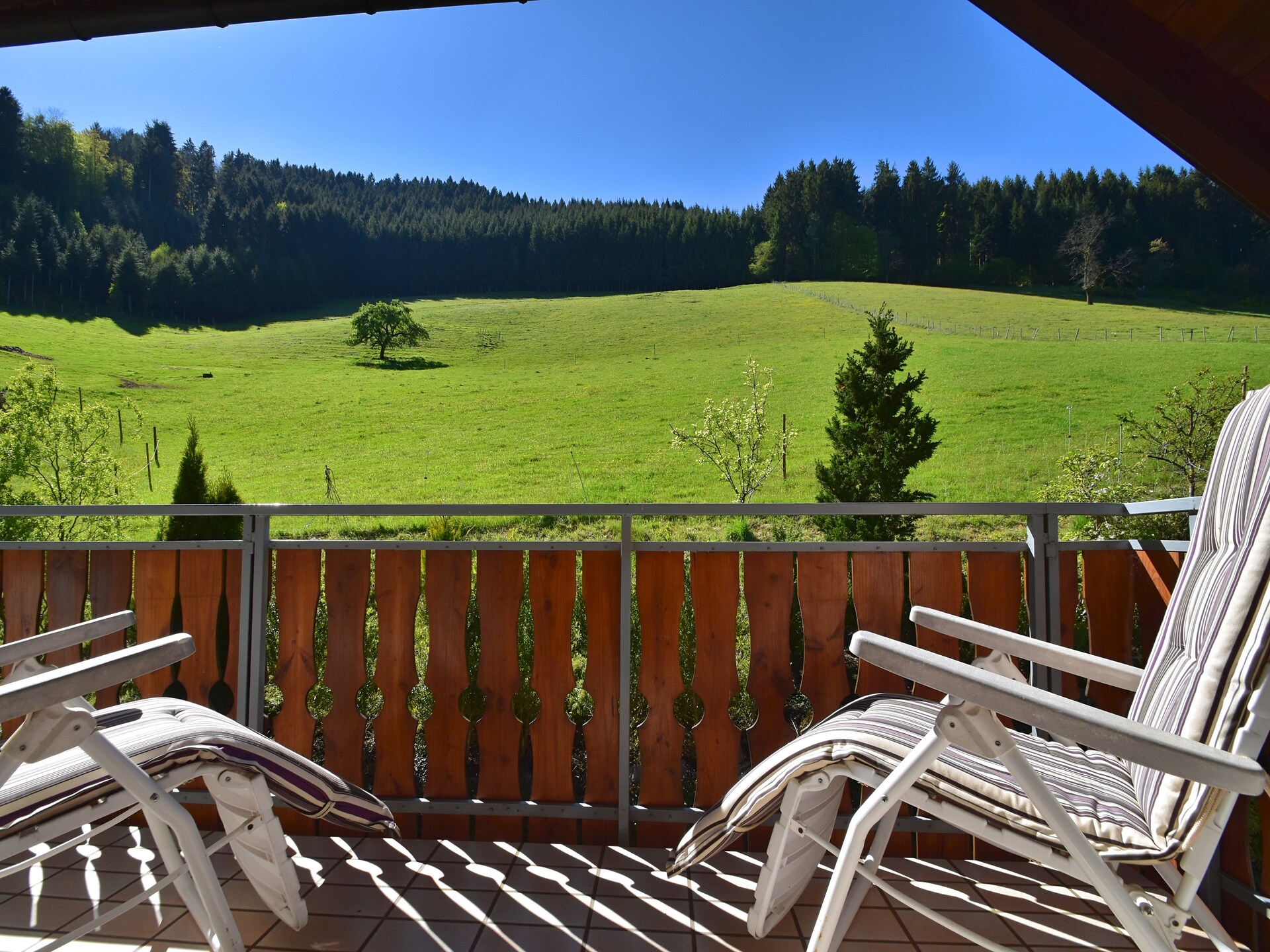 Rustiek appartement Salmensbach in Hofstetten - foto 10