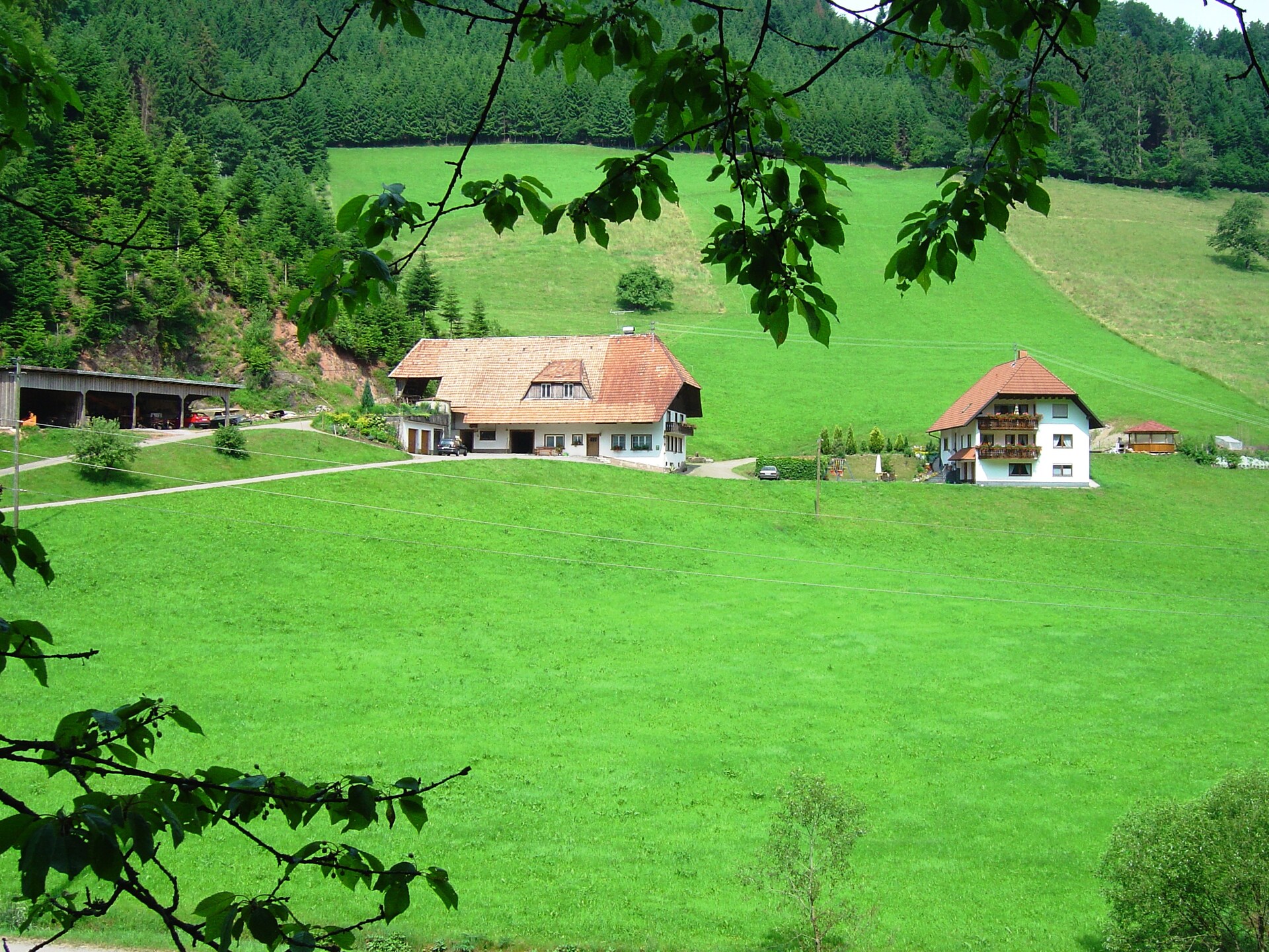 Rustiek appartement Salmensbach in Hofstetten - foto 13
