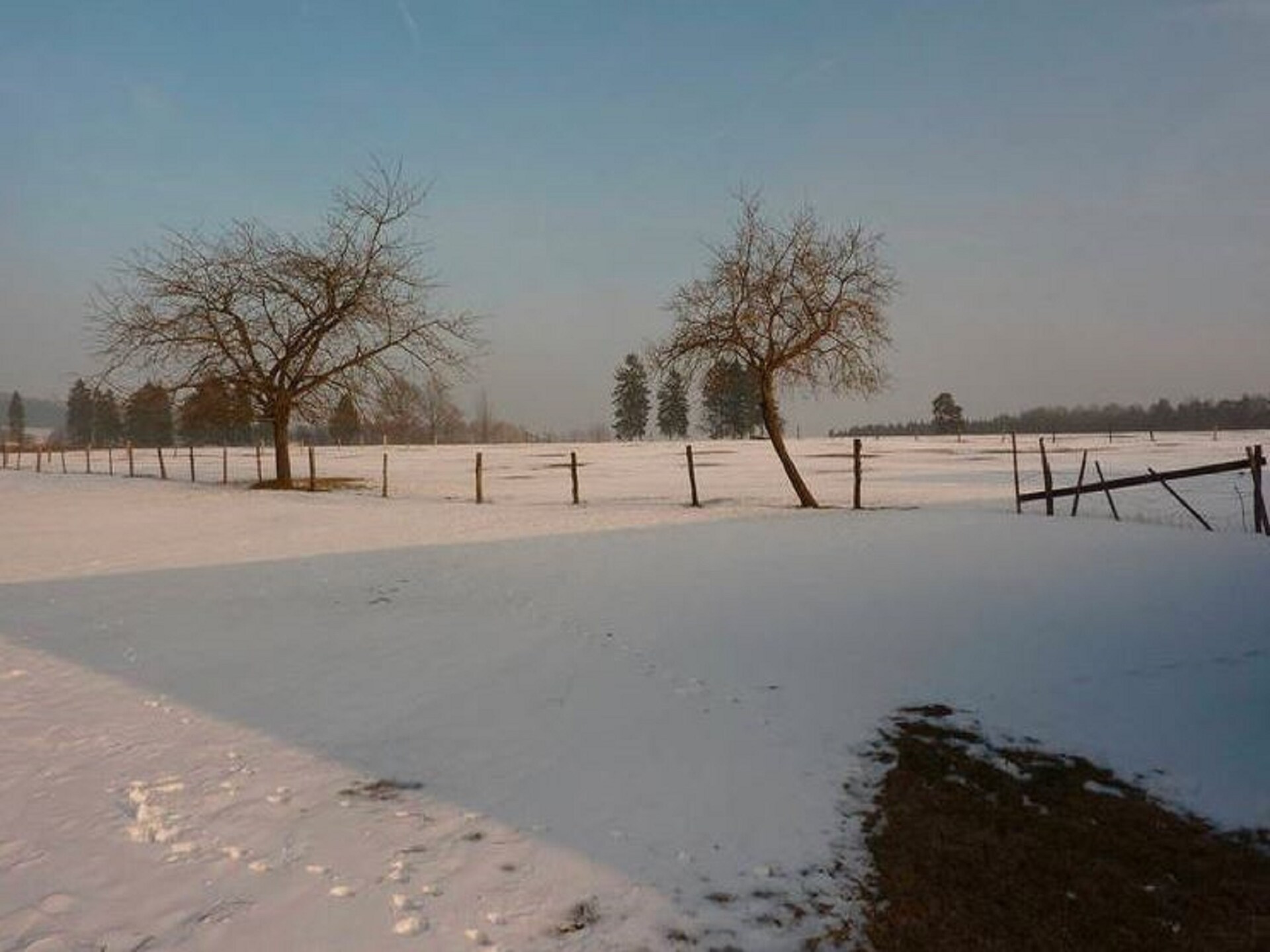 Op 500 m van de piste: 28-persoons landhuis in Malmedy-Baugnez - foto 31