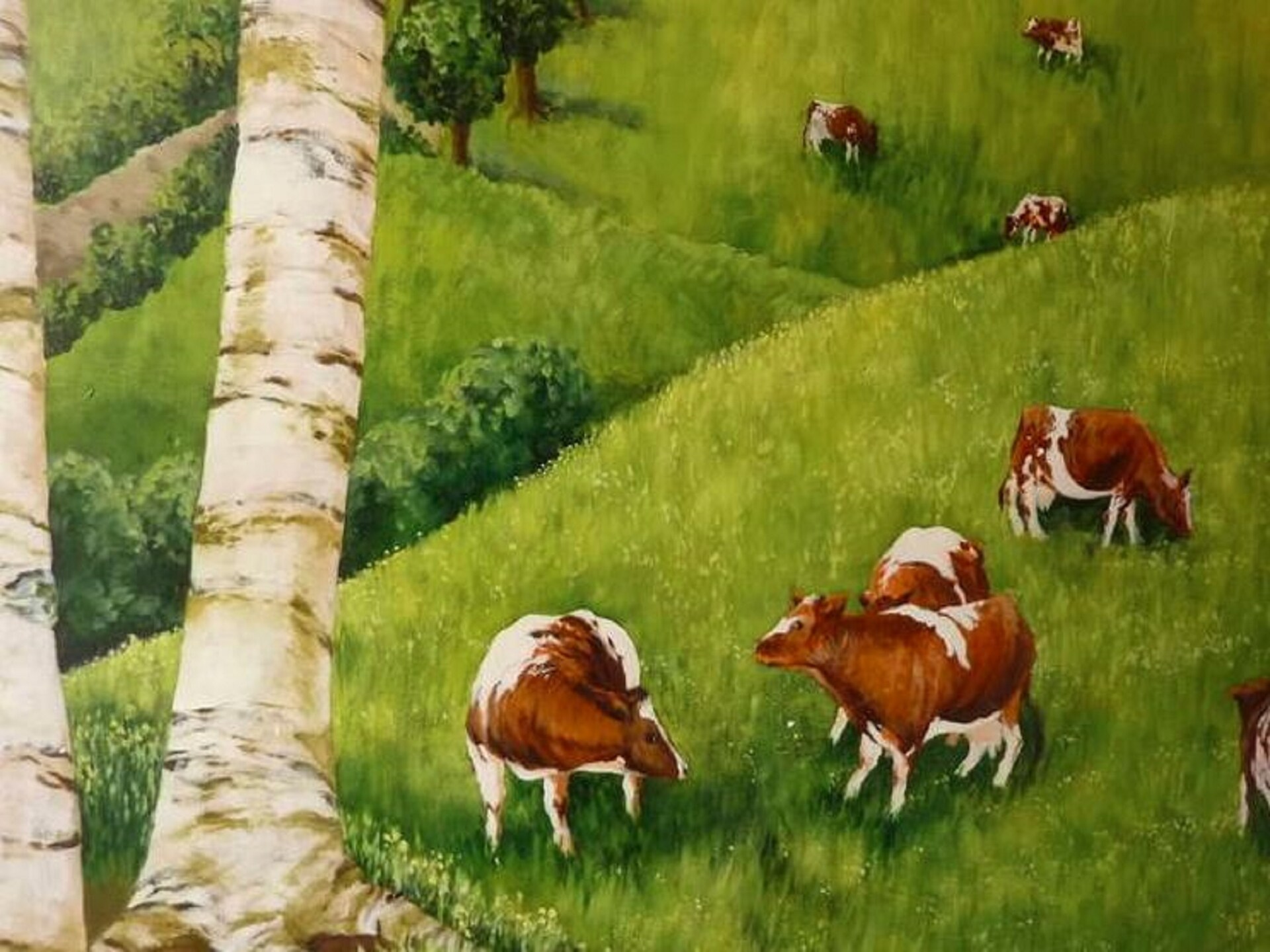 Op 500 m van de piste: 28-persoons landhuis in Malmedy-Baugnez - foto 40