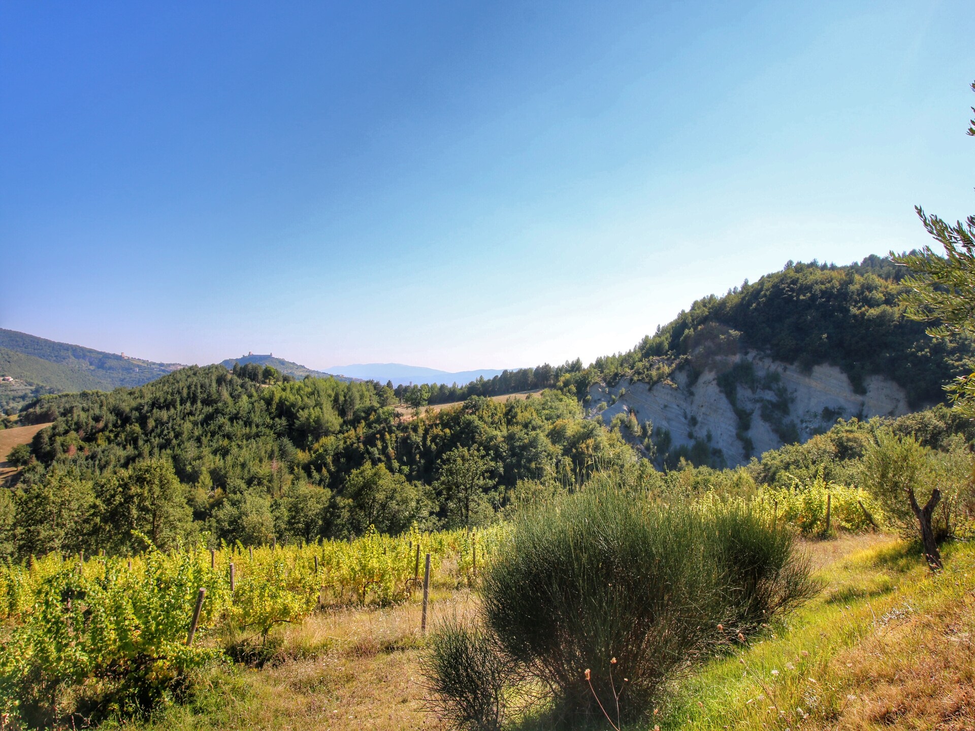 Villa Fata Morgana: rustig vakantiehuis met zwembad nabij Assisi, Umbrië - foto 36