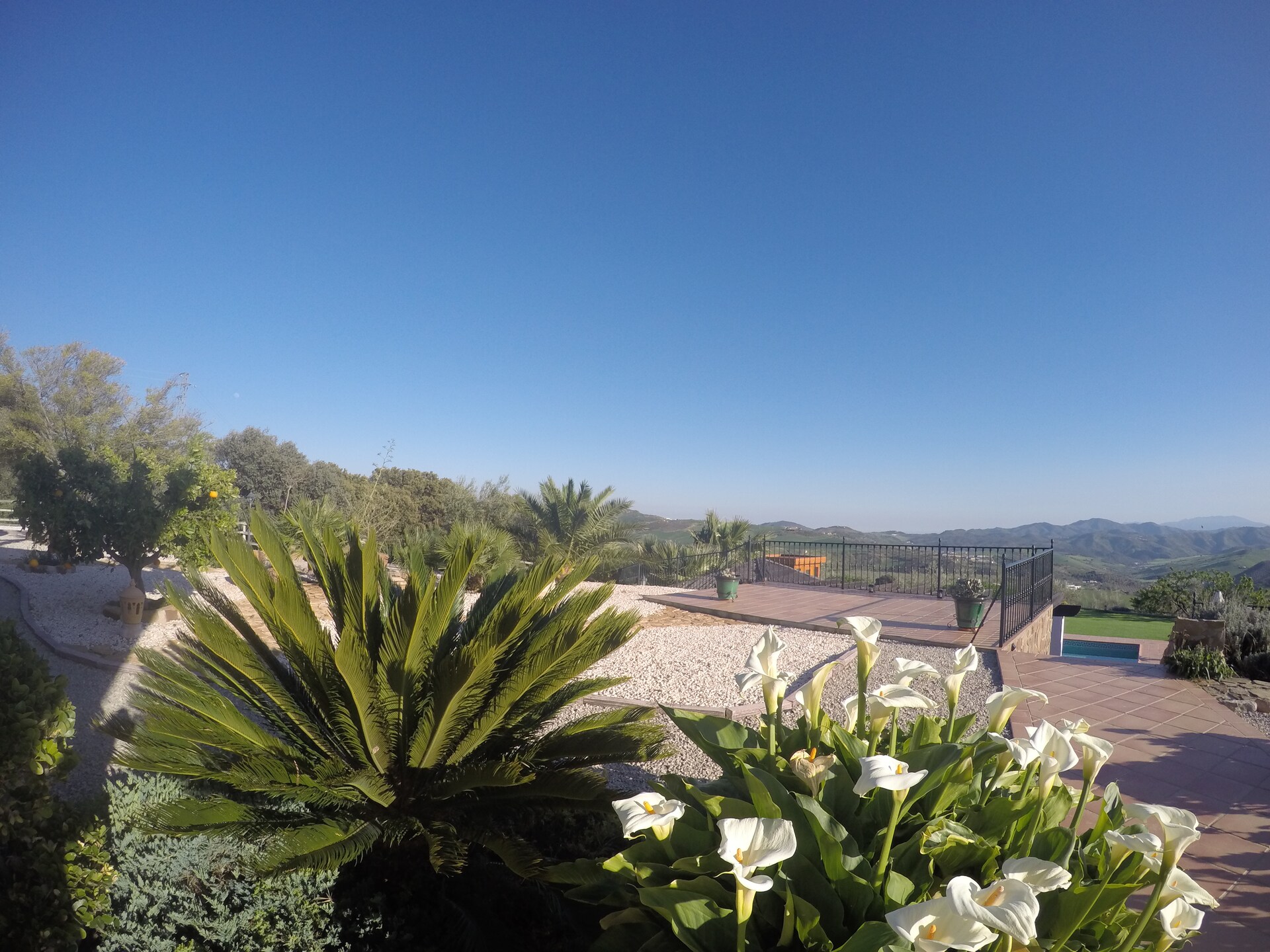 Luxe bosvilla met sauna, jacuzzi en padelbaan in Andalusisch natuurgebied - foto 24
