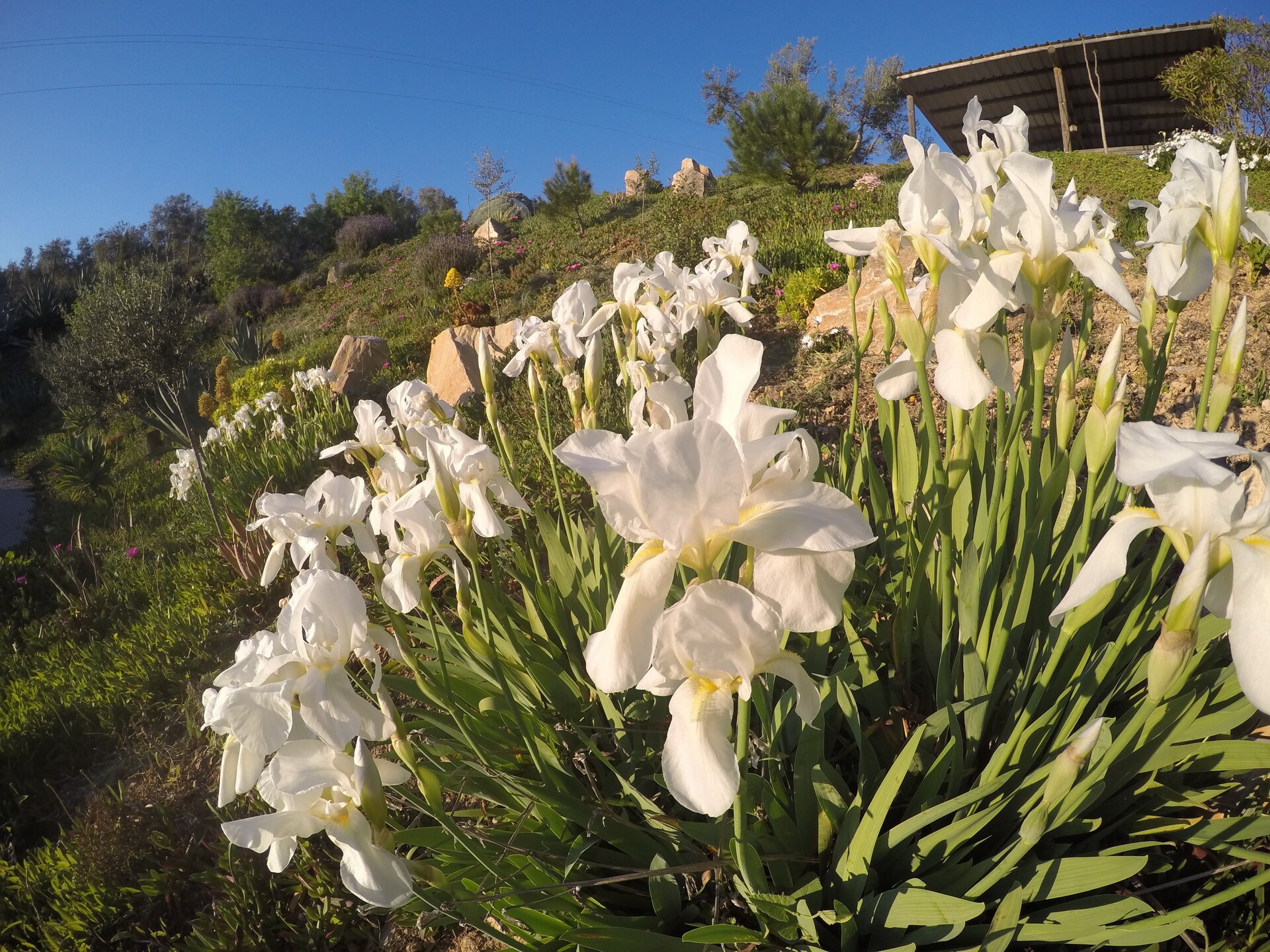 Luxe bosvilla met sauna, jacuzzi en padelbaan in Andalusisch natuurgebied - foto 30