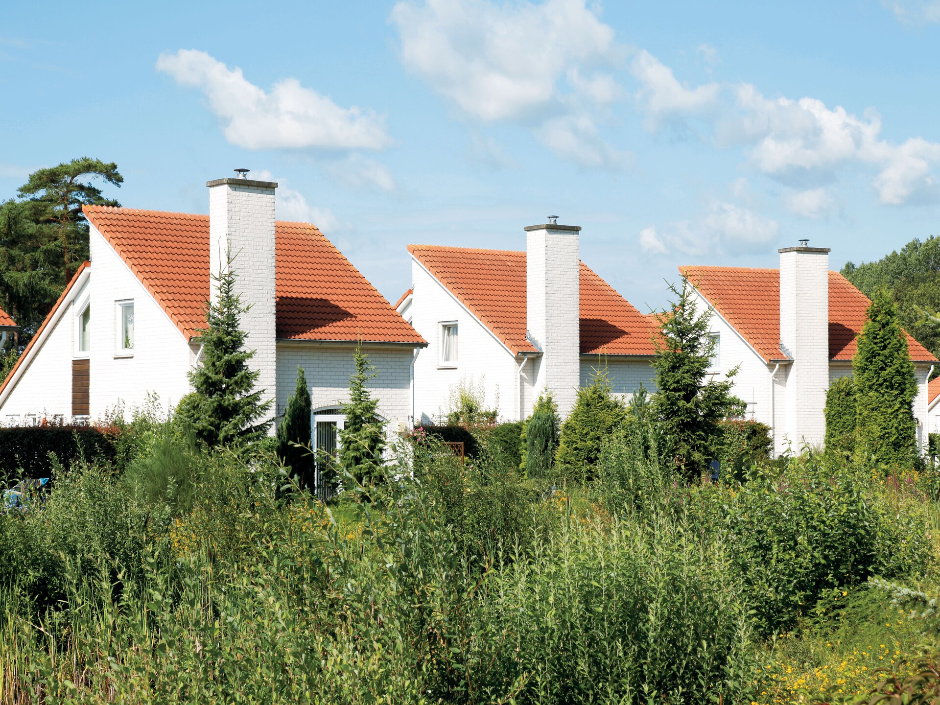 Huisdiervriendelijk chalet in groen Limburg – Resort Arcen 6 - foto 34