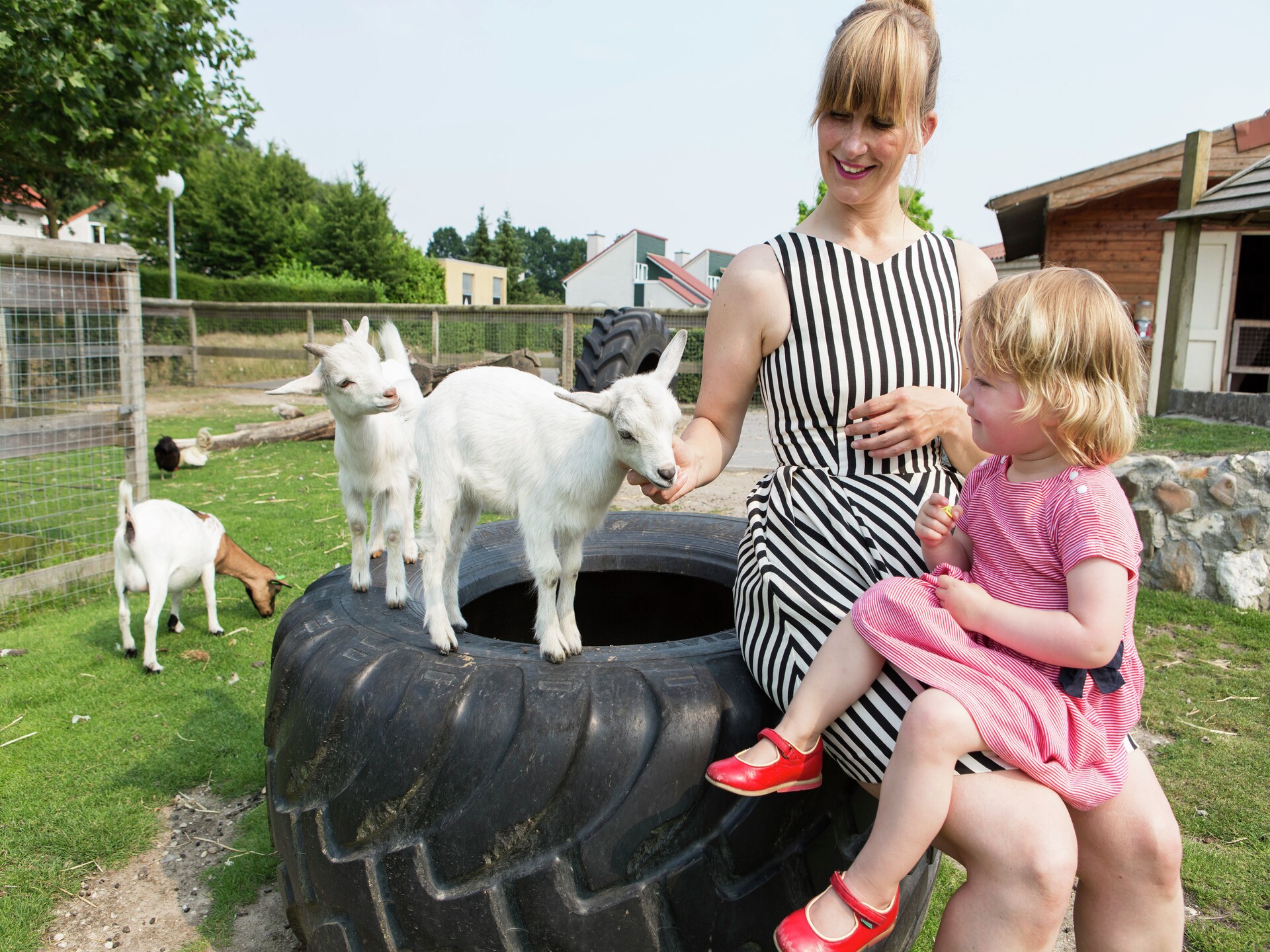 Knus chalet voor 5 personen op hondvriendelijk vakantiepark in Arcen - foto 18