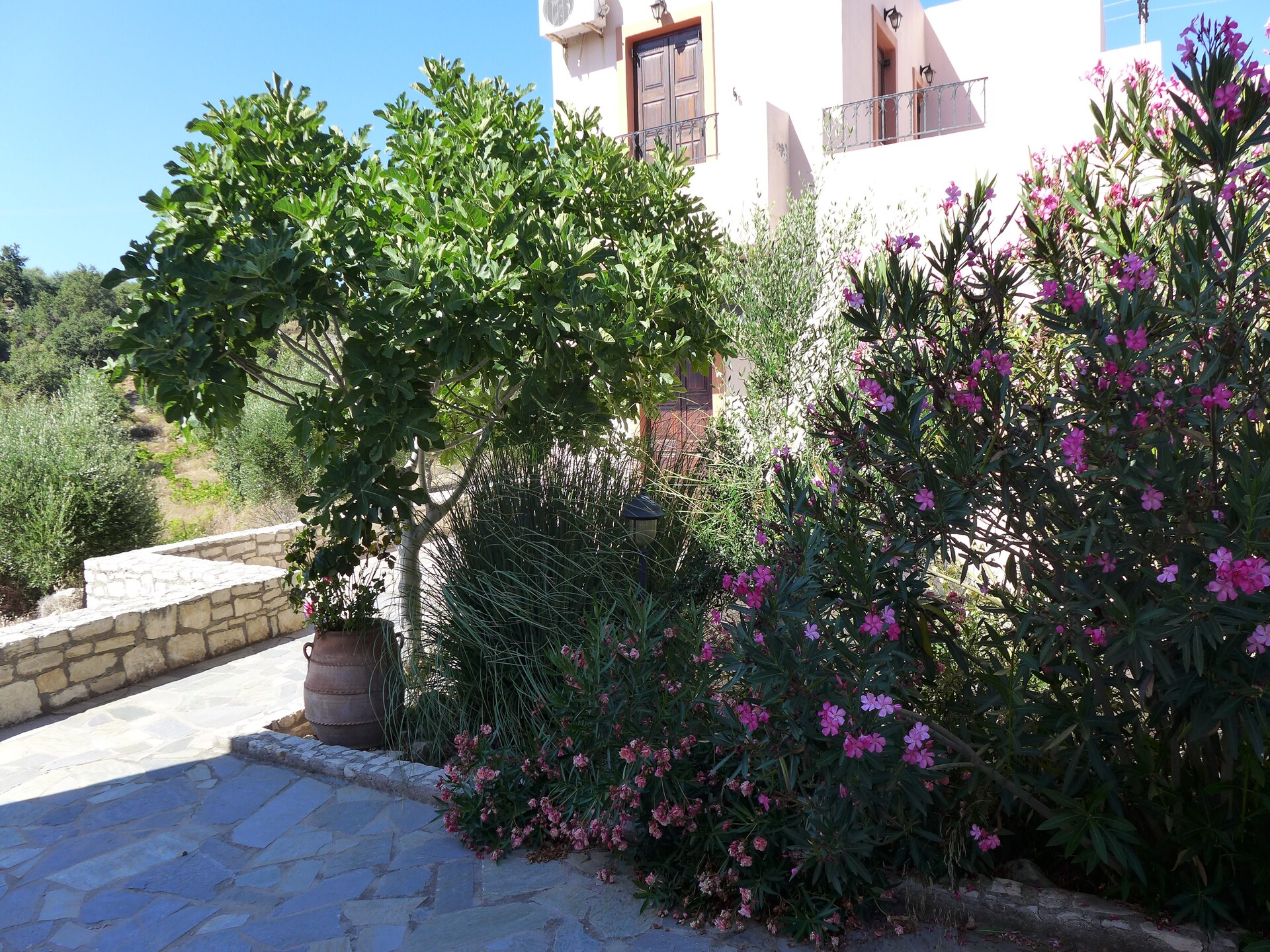 Villa Olga: authentieke rust met privézwembad in hartje Kreta - foto 8