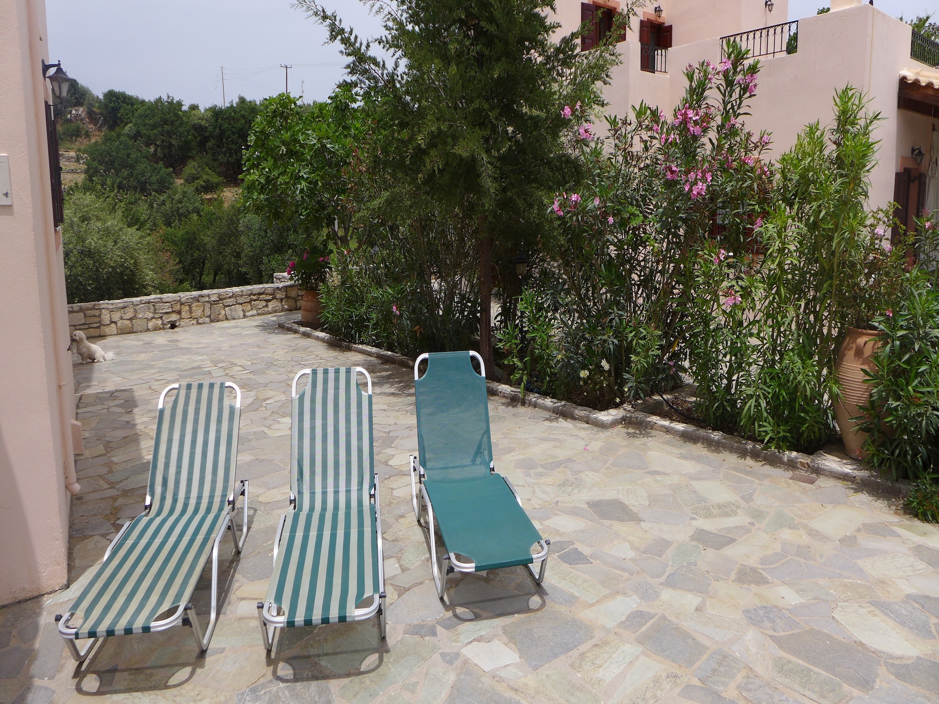 Villa Olga: authentieke rust met privézwembad in hartje Kreta - foto 5