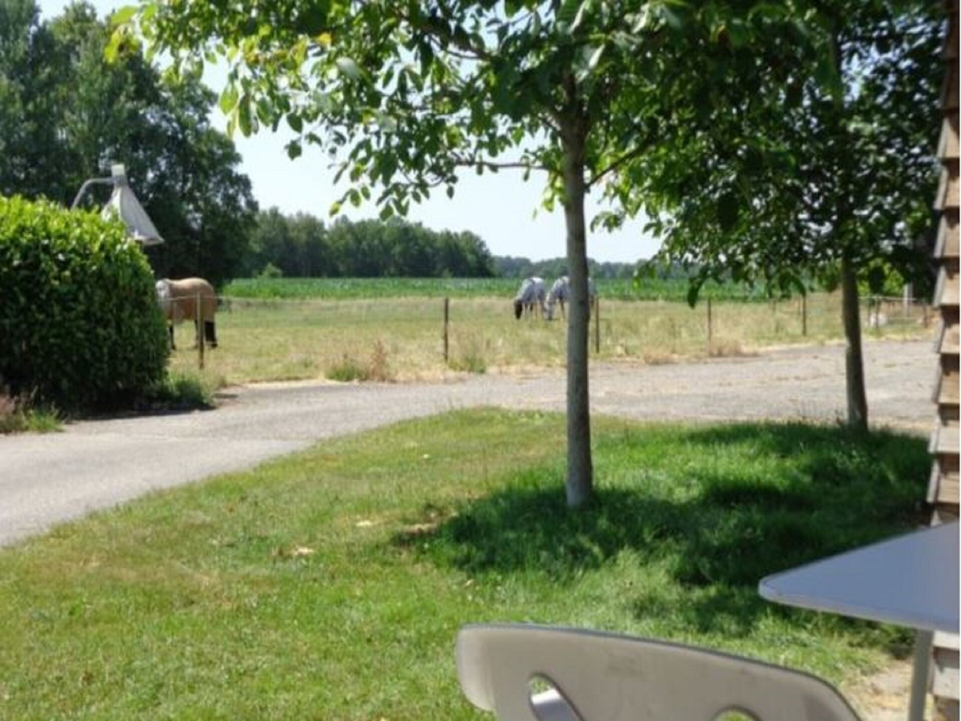 Singelhoeve: knus appartement in voormalige stal bij Fochteloërveen - foto 17