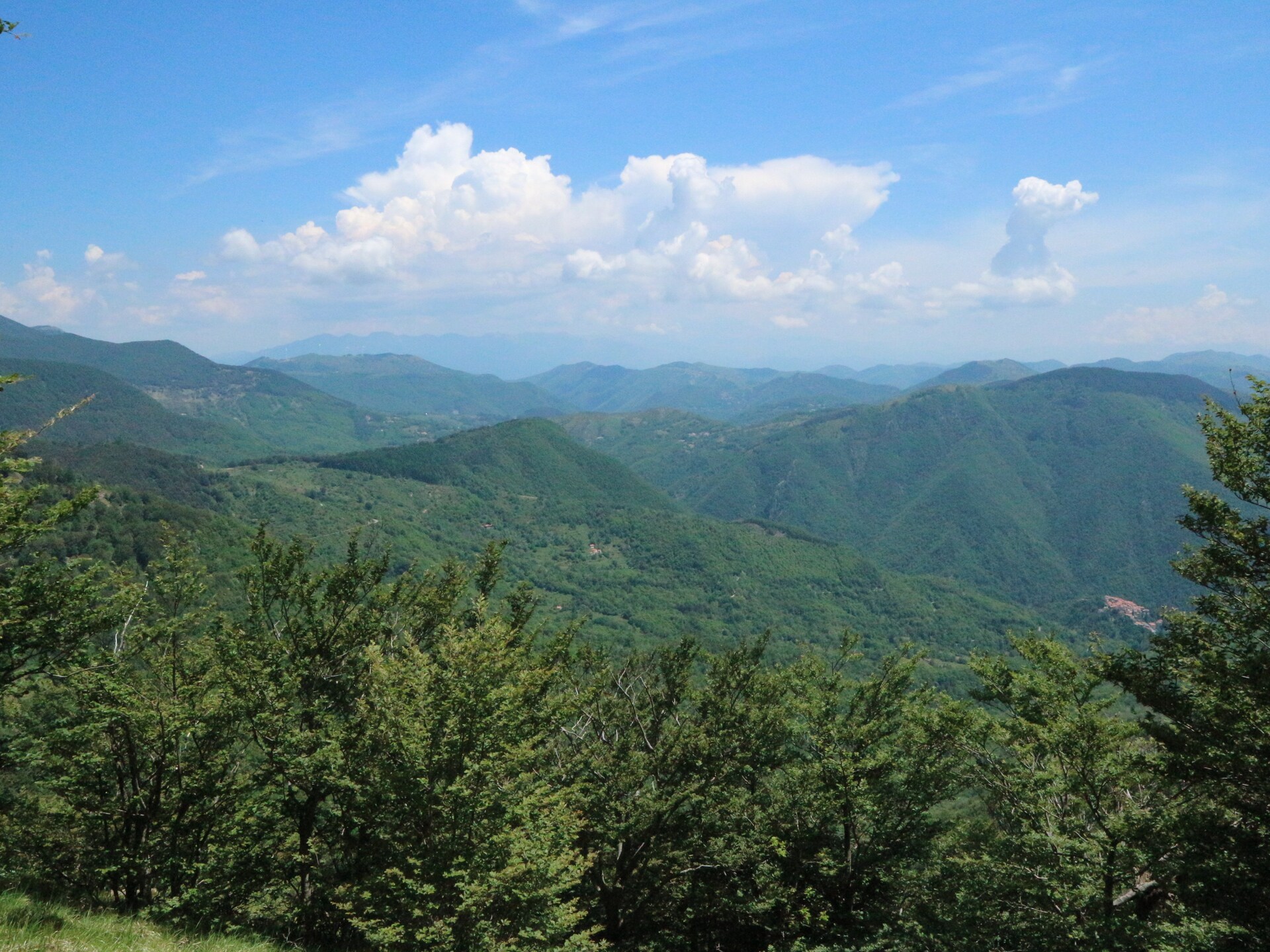 Casa Marcellini: Bosrijk vakantiehuis voor 4 in Sesta Godano, Italië - foto 24