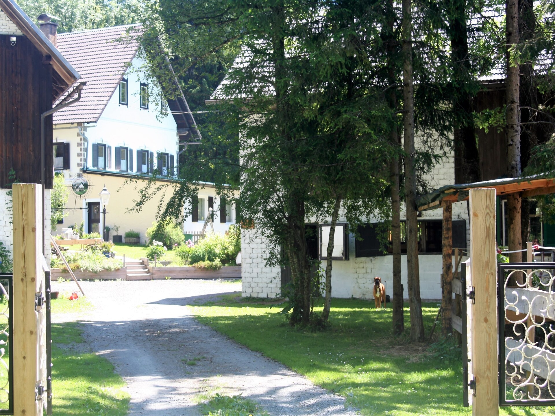 Op 400 m van de piste: Ruim vakantiehuis in Hermagor voor 8 personen - foto 3
