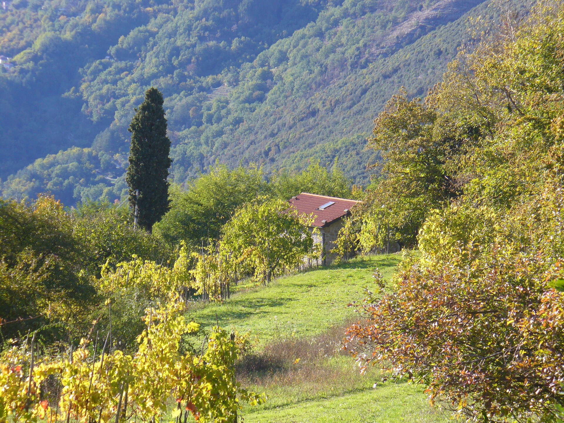 6-persoons landhuis in het centrum van Bagni di Lucca - foto 17