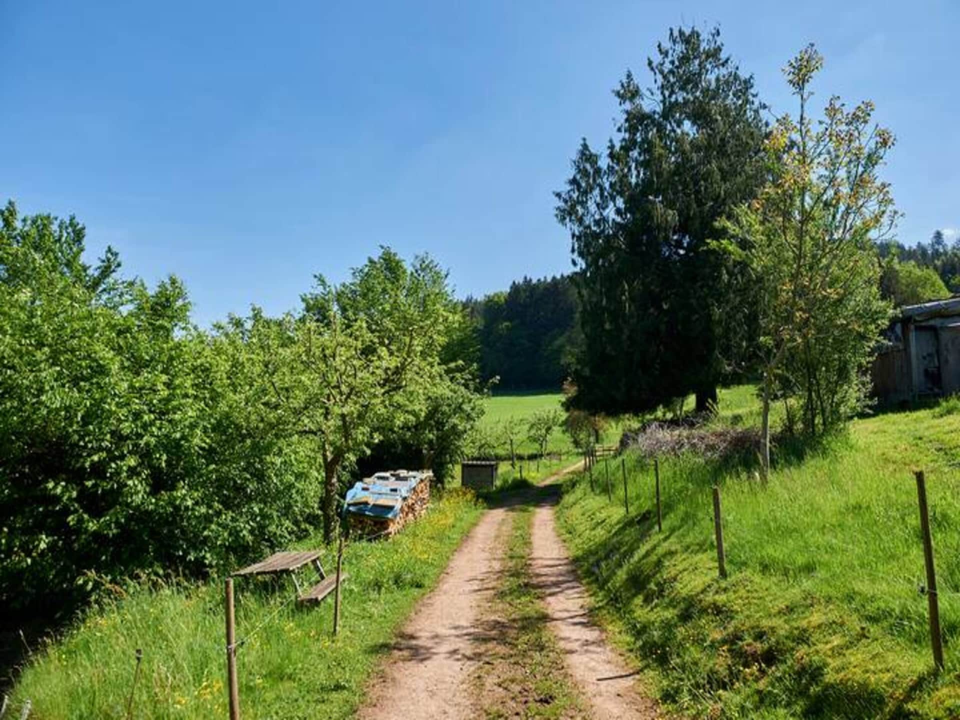 Rustig appartement op boerderij in het Zwarte Woud met uitzicht en tuin - foto 29