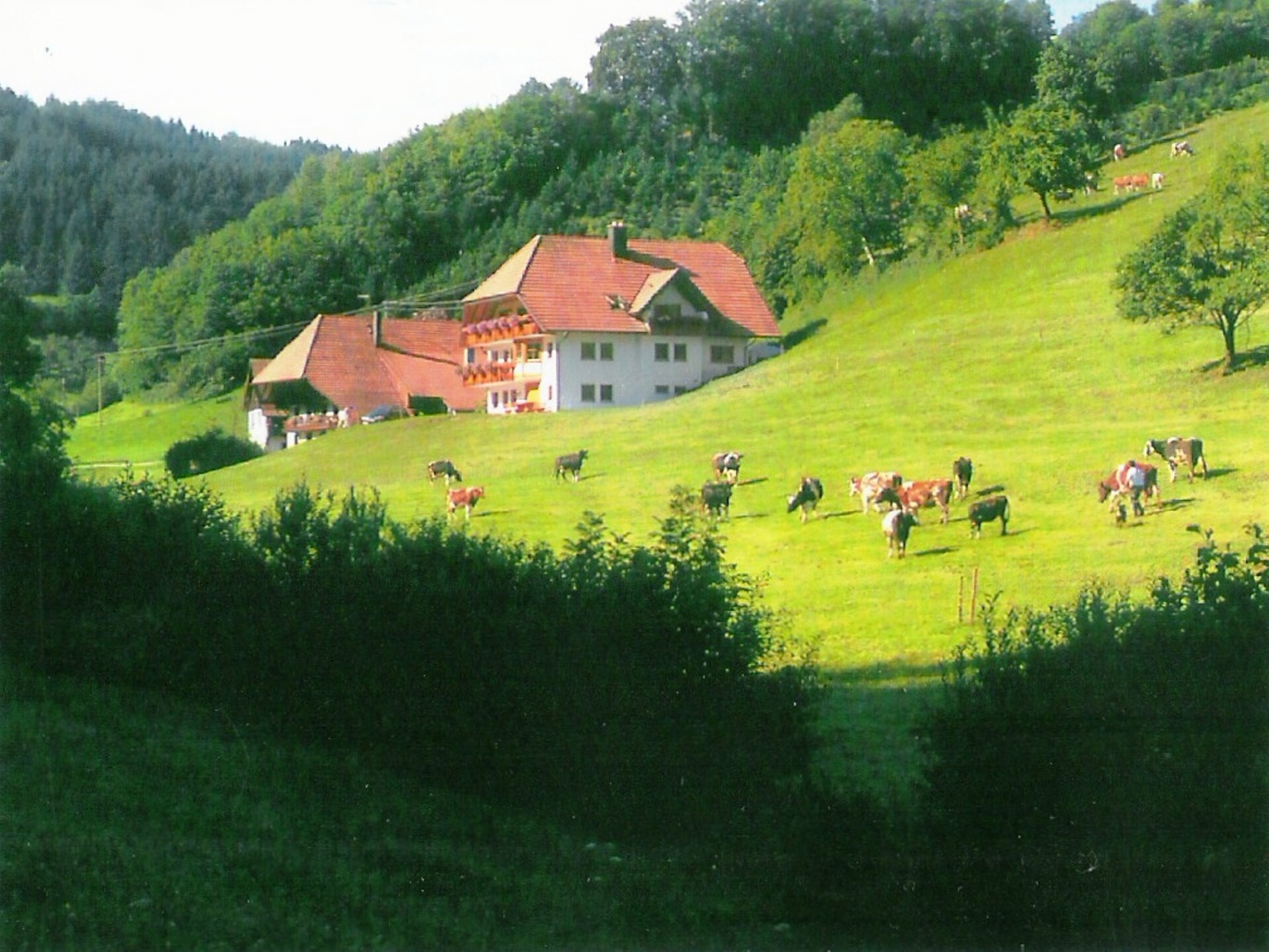 Am Stulzenhof: Authentiek appartement in het Zwarte Woud met panoramisch uitzicht - foto 8