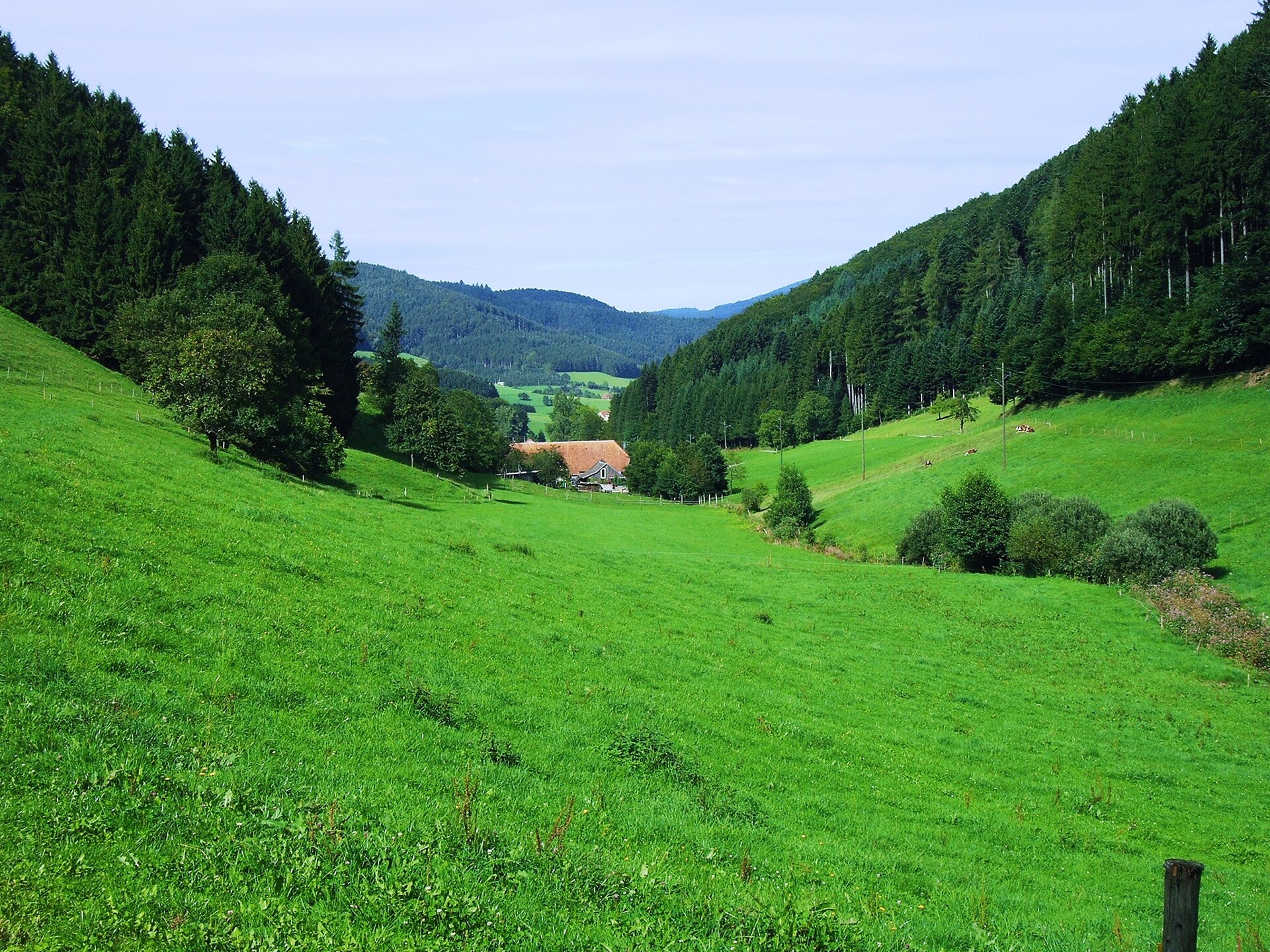 Am Stulzenhof: Authentiek appartement in het Zwarte Woud met panoramisch uitzicht - foto 18