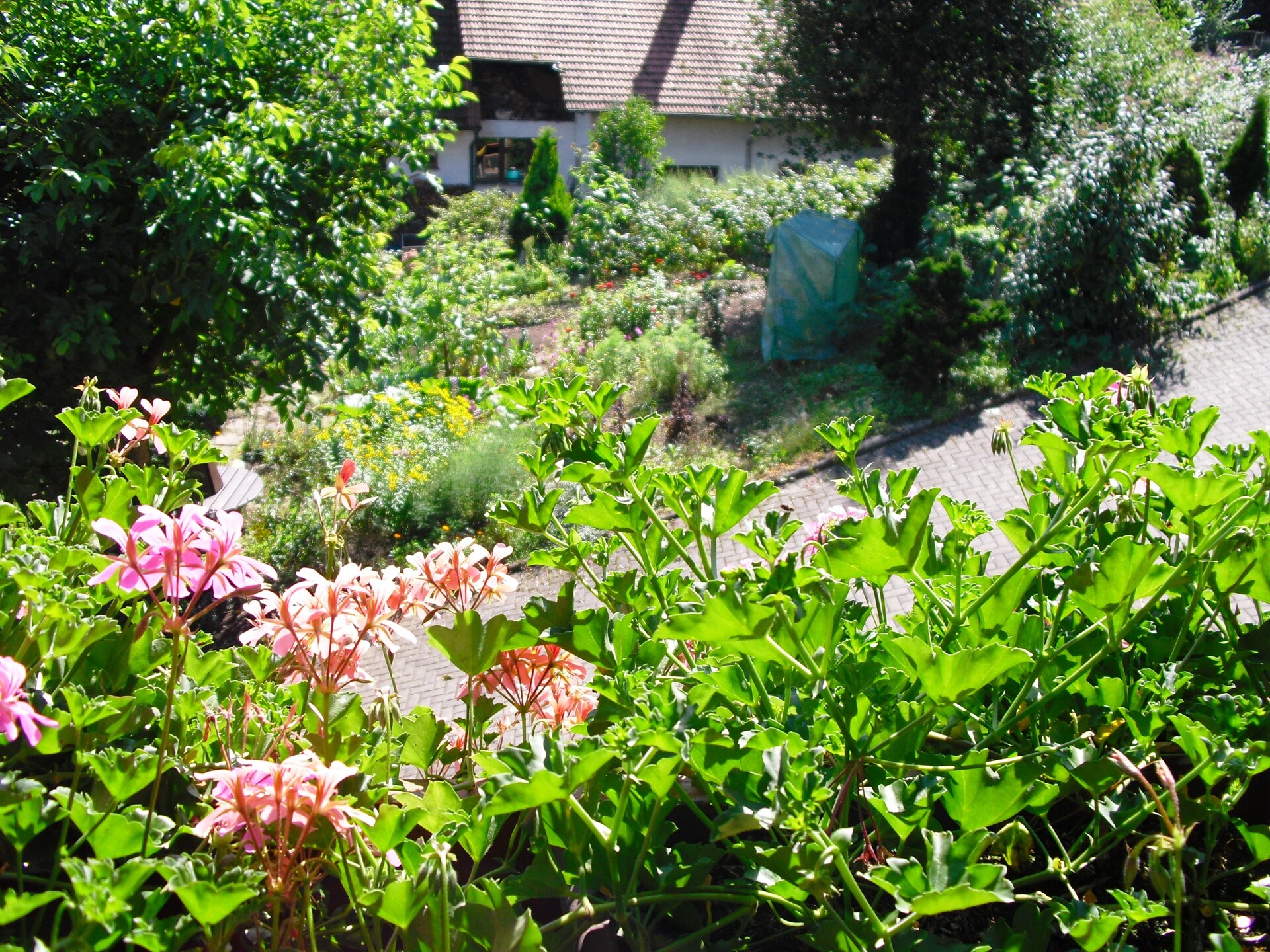 Am Stulzenhof: Authentiek appartement in het Zwarte Woud met panoramisch uitzicht - foto 16