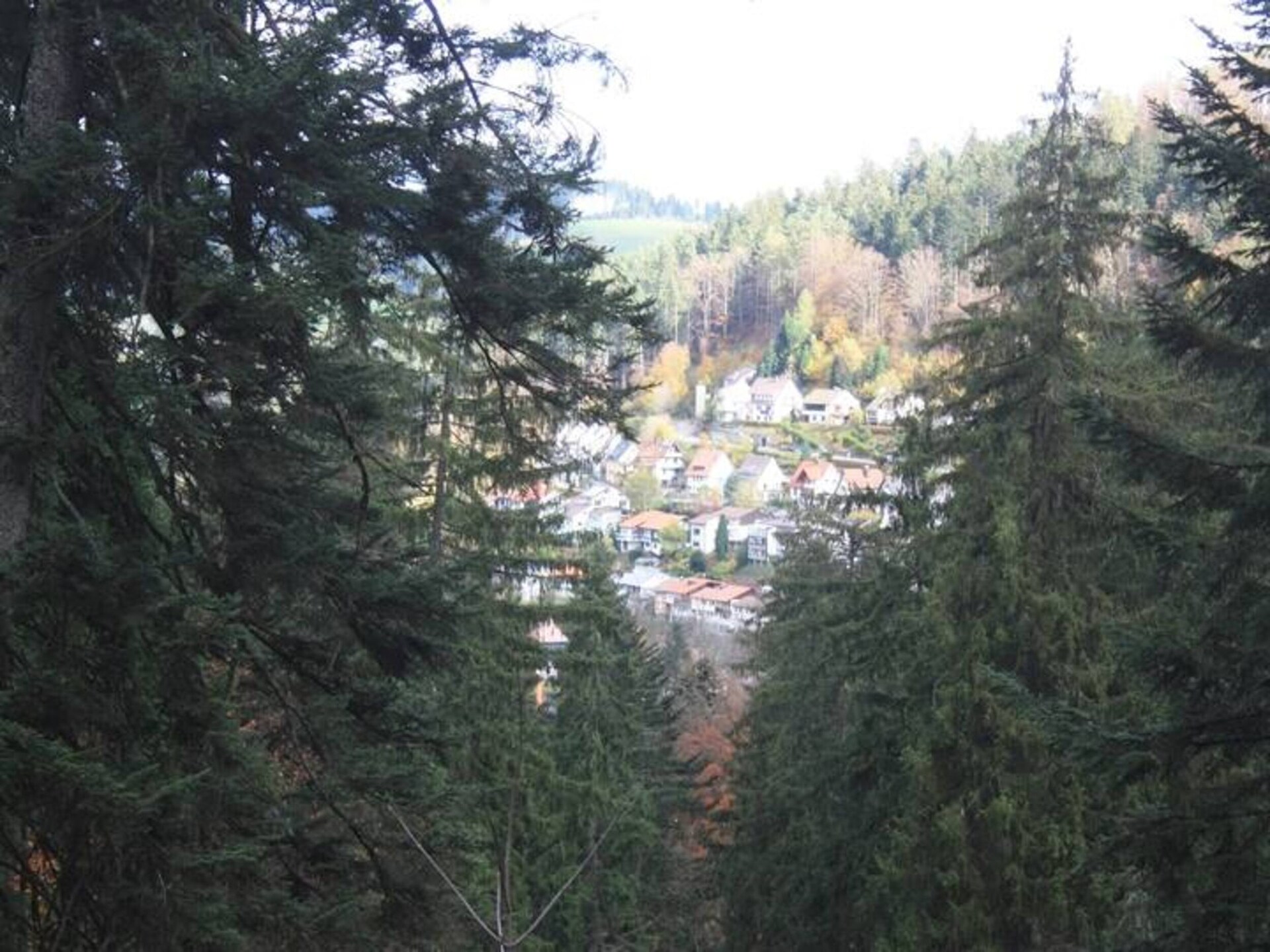 Am Stulzenhof: Authentiek appartement in het Zwarte Woud met panoramisch uitzicht - foto 31