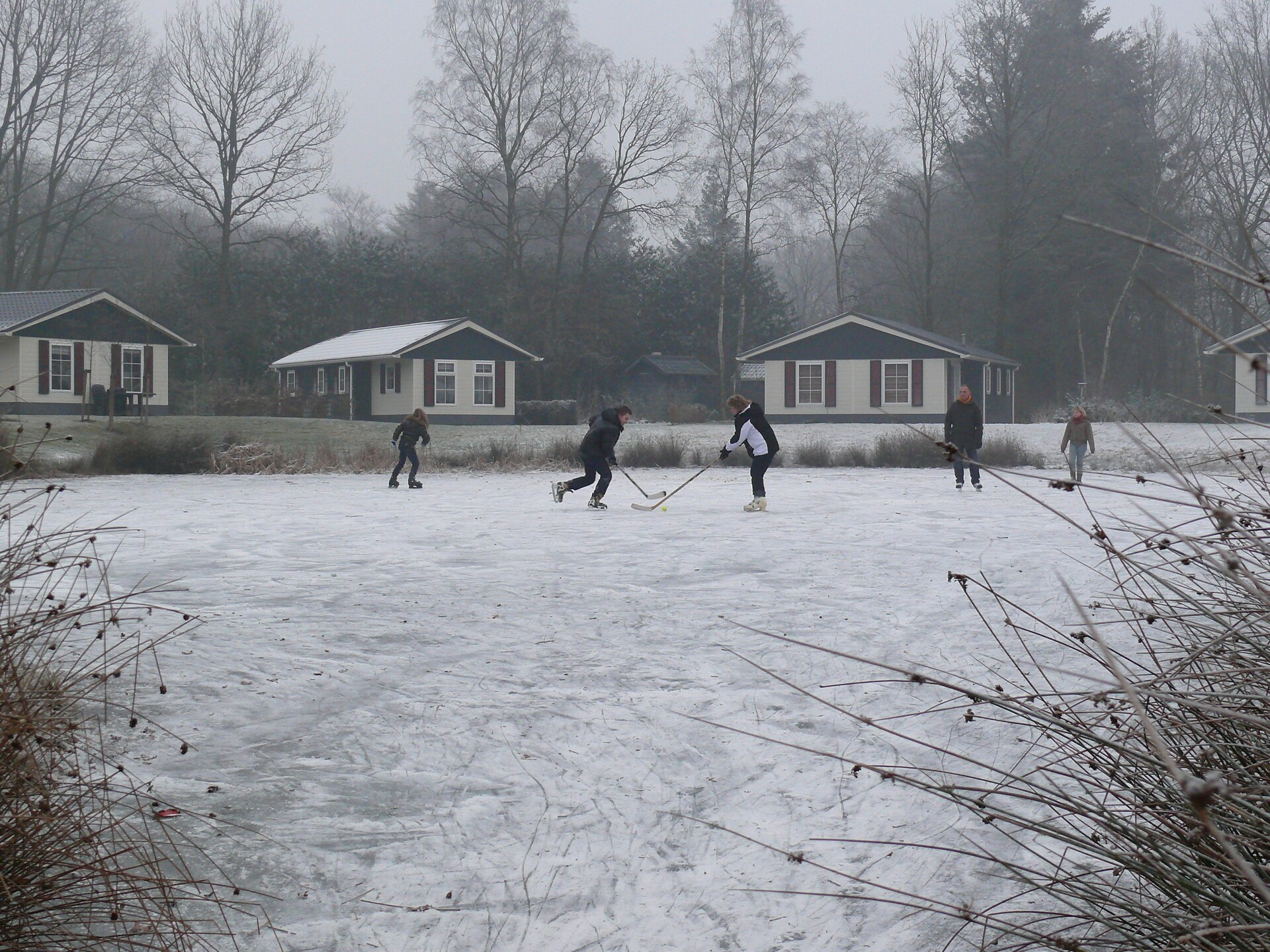 Vrijstaand vakantiehuis op rustig park in Dalfsen, honden welkom - foto 37
