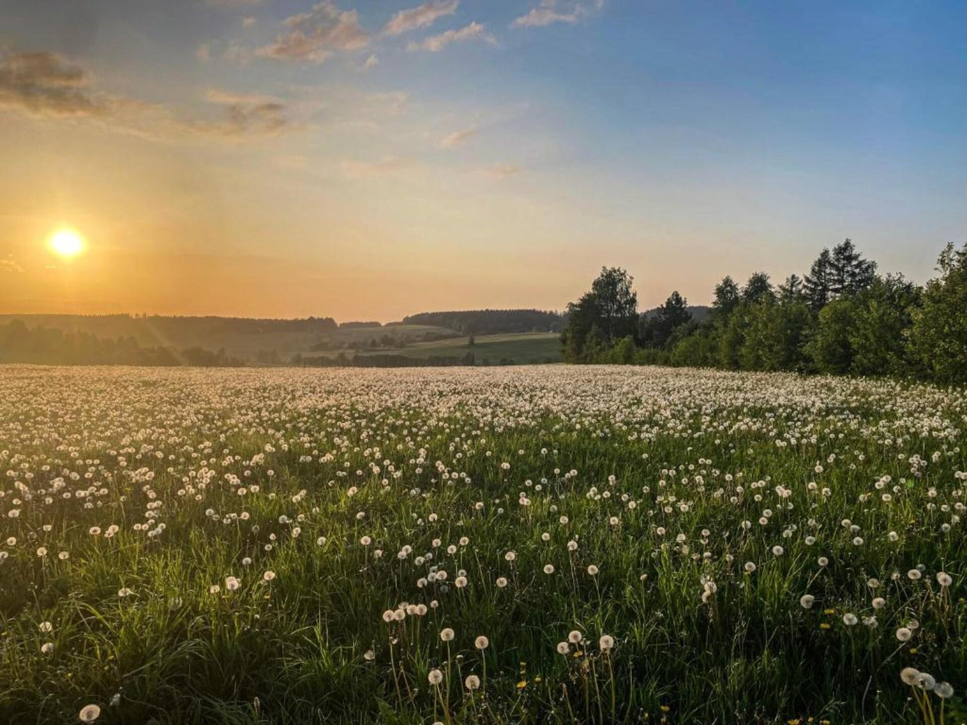 Knus bosappartement Maja in Dörnthal – Eigen terras & BBQ - foto 30