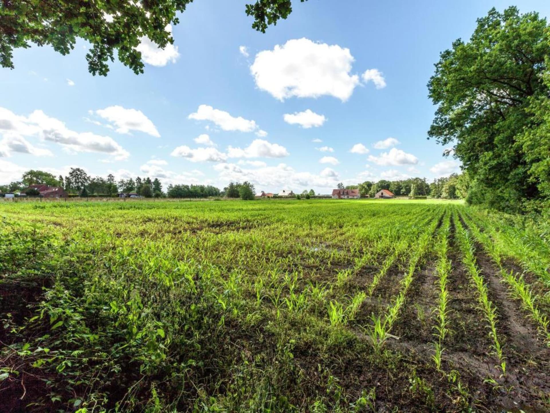 Centraal gelegen 9-persoons vakantiehuis in Ruiselede - foto 34