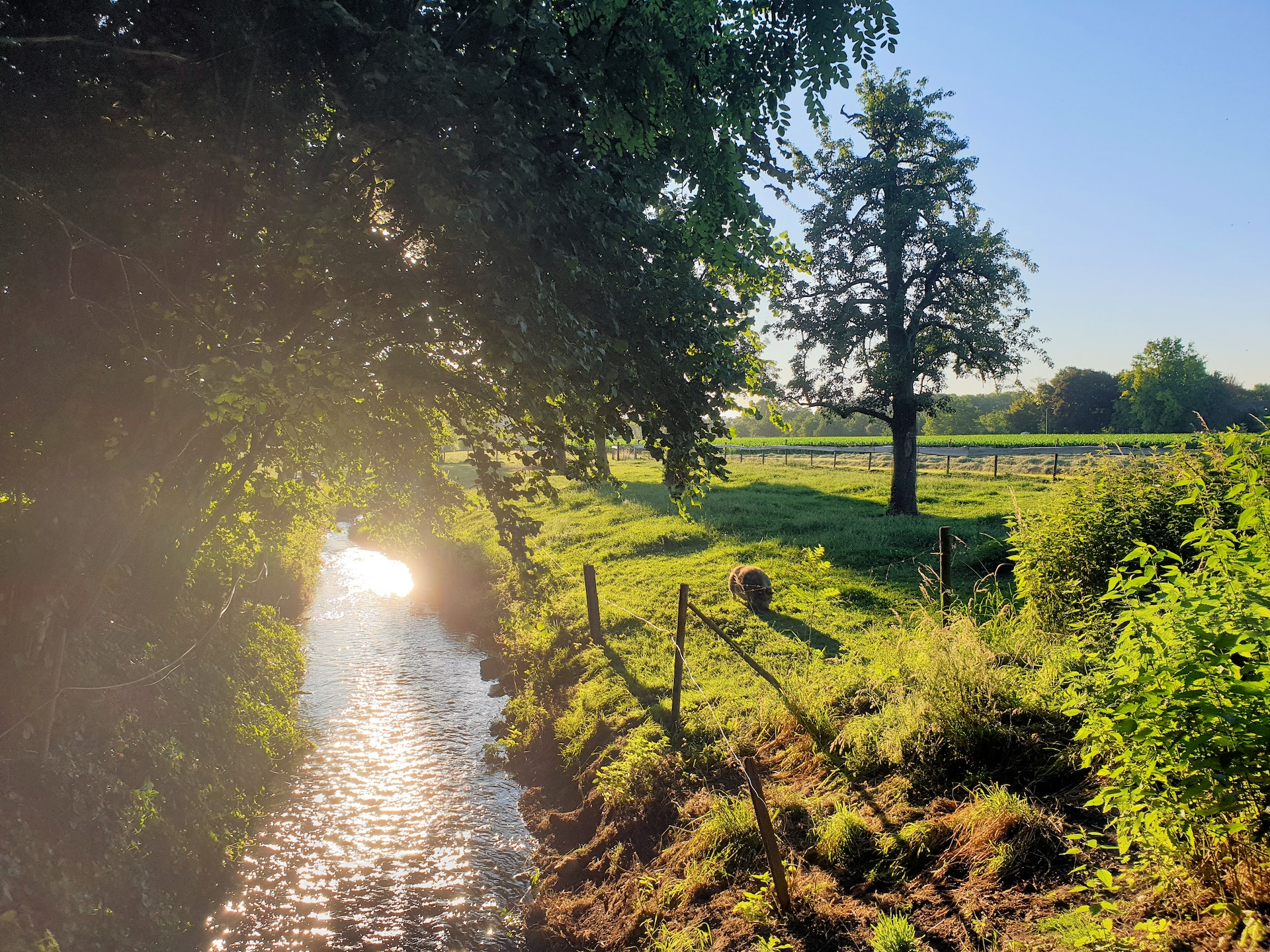 Landelijk appartement Mesch-Eijsden: ruim, huisdiervriendelijk, aan bos en golf - foto 31