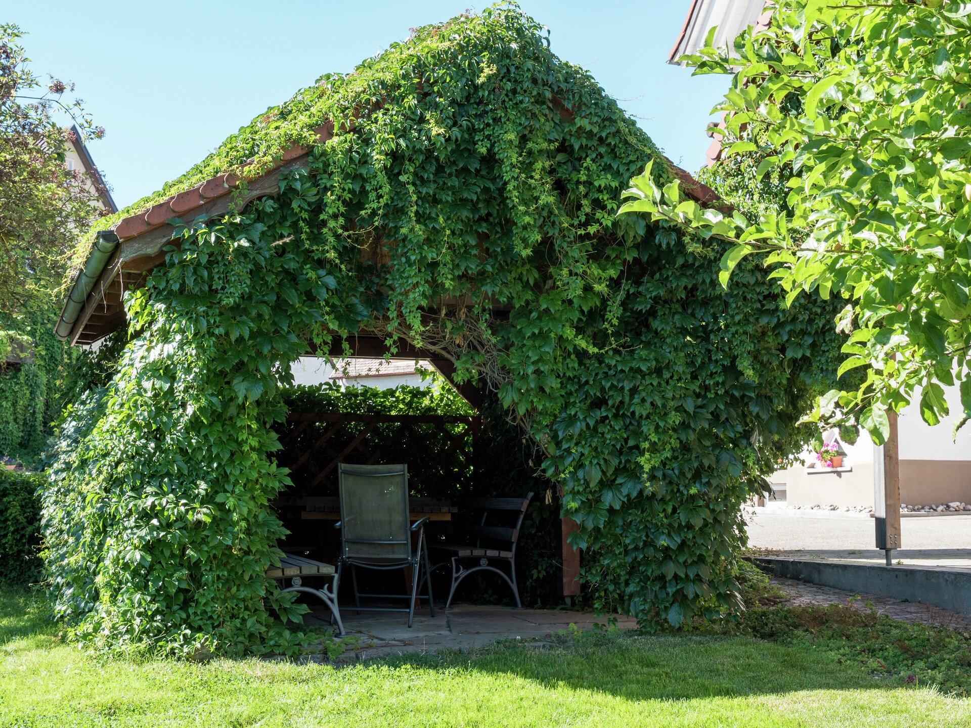 Rustiek appartement op boerderij in het groene Schuttertal, vlakbij Europa-Park - foto 21