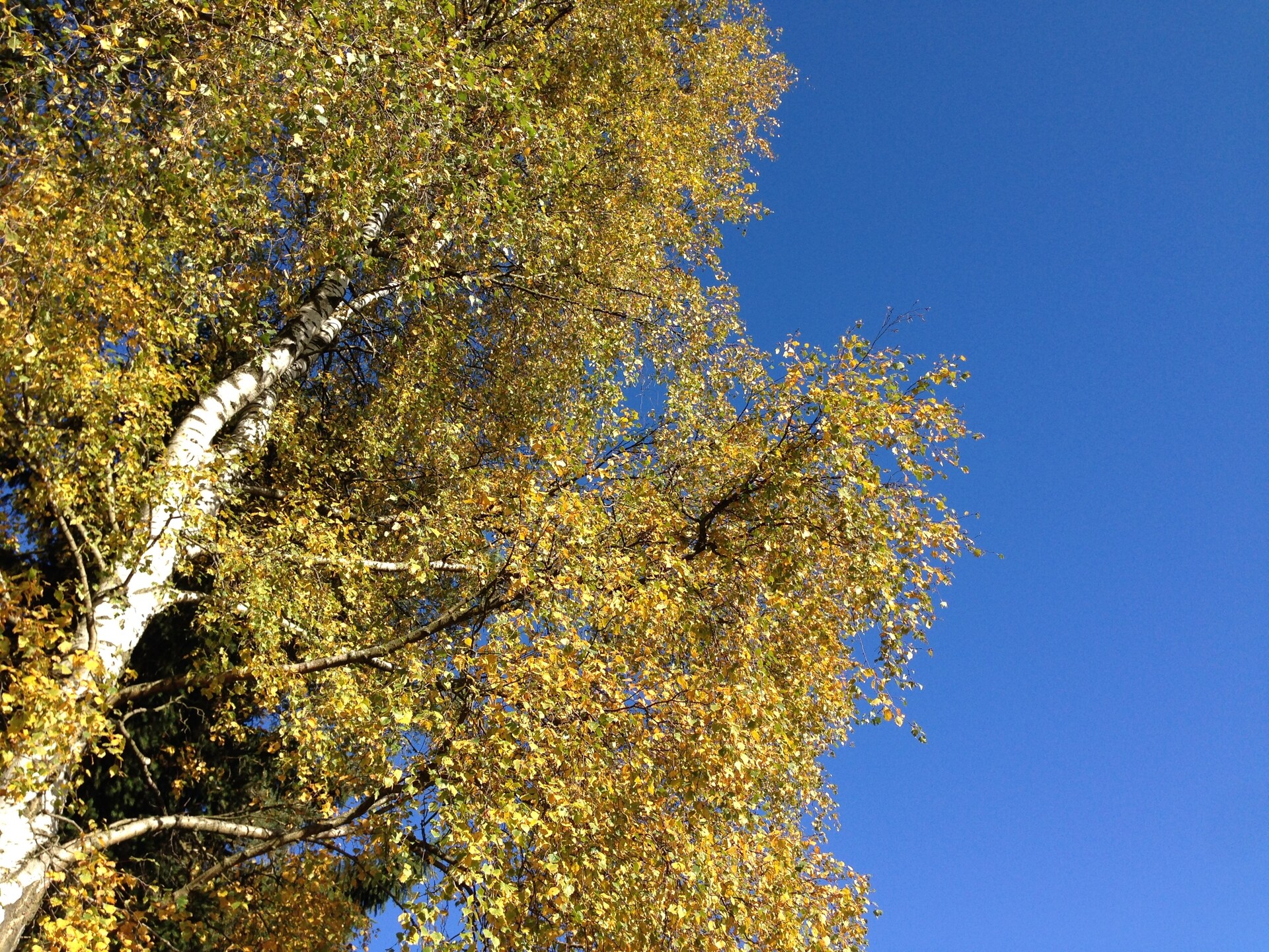 Vakantiehuis Morgensonne in Tännesberg – Uitzicht, rust en wandelplezier - foto 15