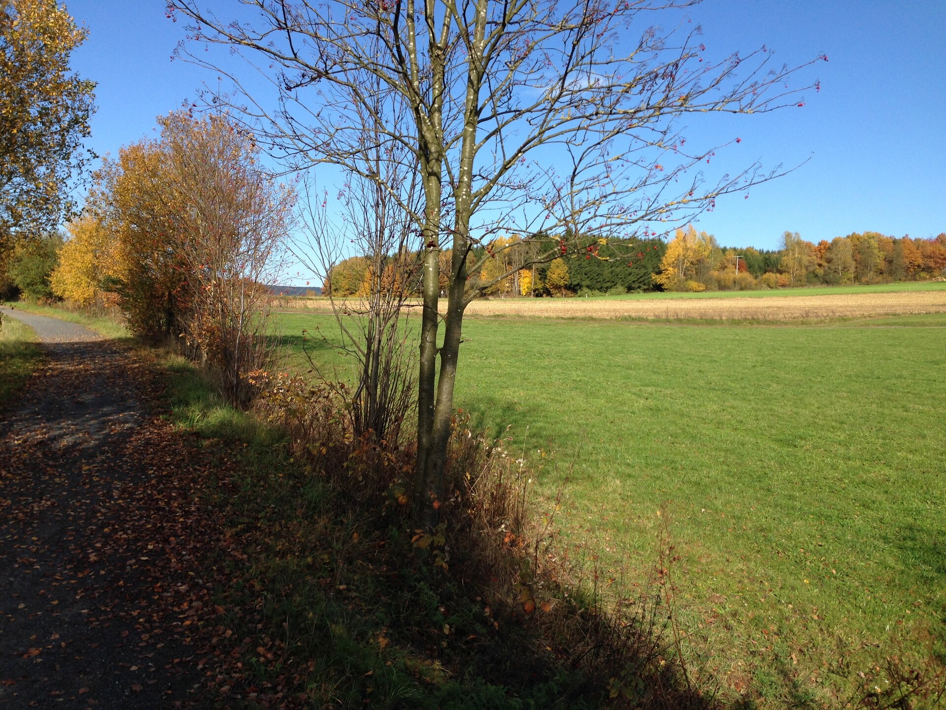 Vakantiehuis Morgensonne in Tännesberg – Uitzicht, rust en wandelplezier - foto 13
