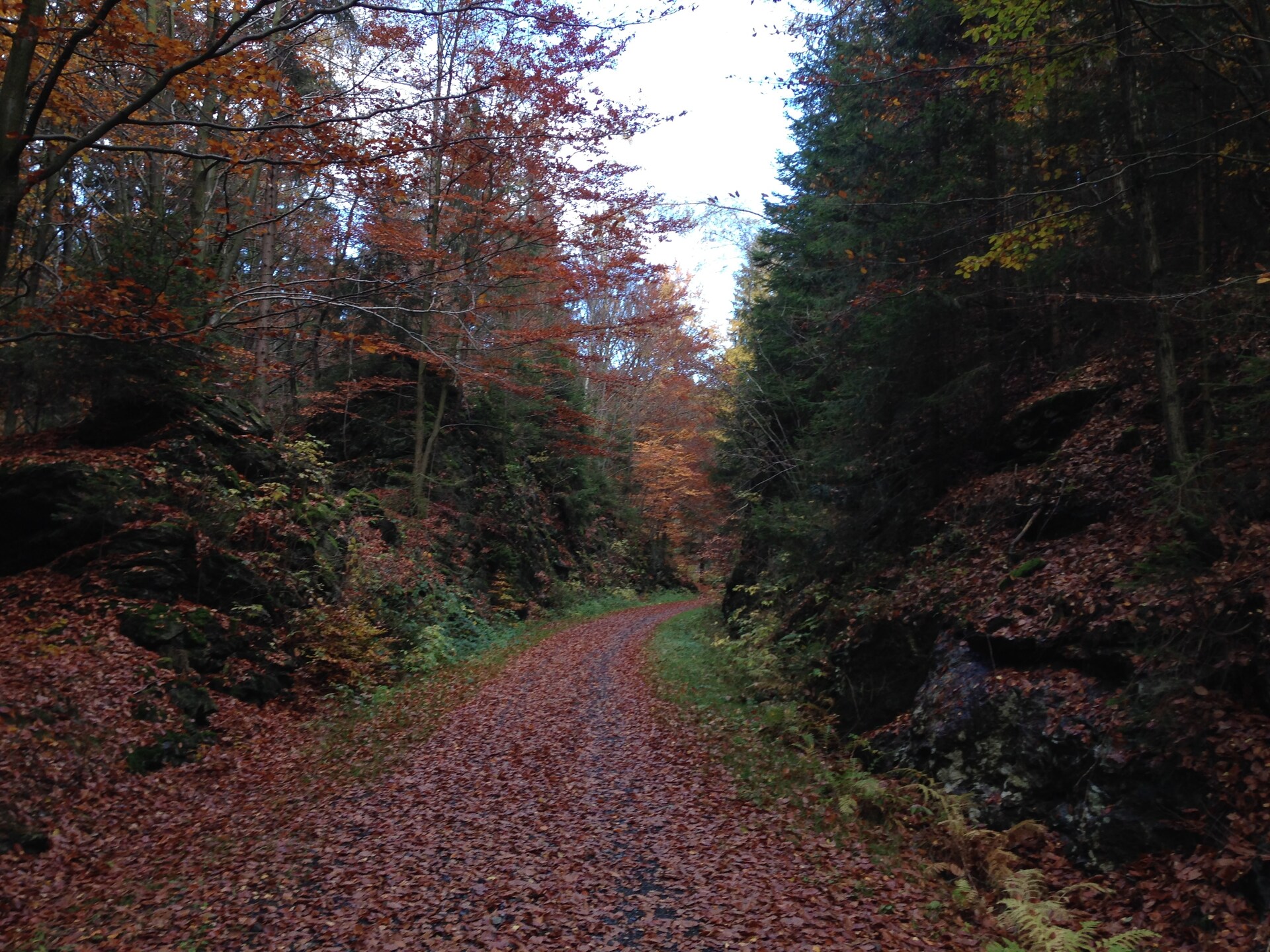 Vakantiehuis Morgensonne in Tännesberg – Uitzicht, rust en wandelplezier - foto 16