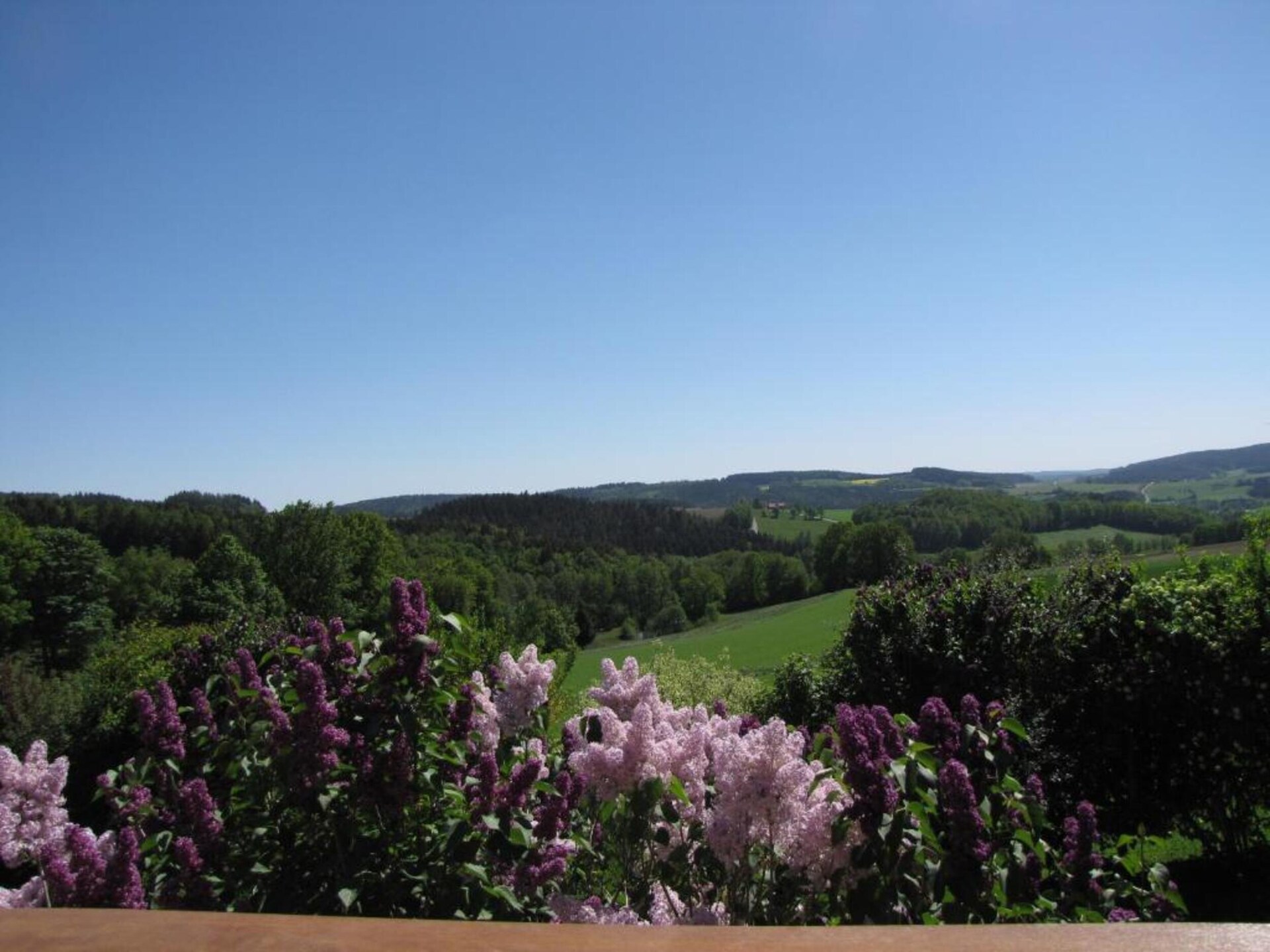 Vakantiehuis Morgensonne in Tännesberg – Uitzicht, rust en wandelplezier - foto 23