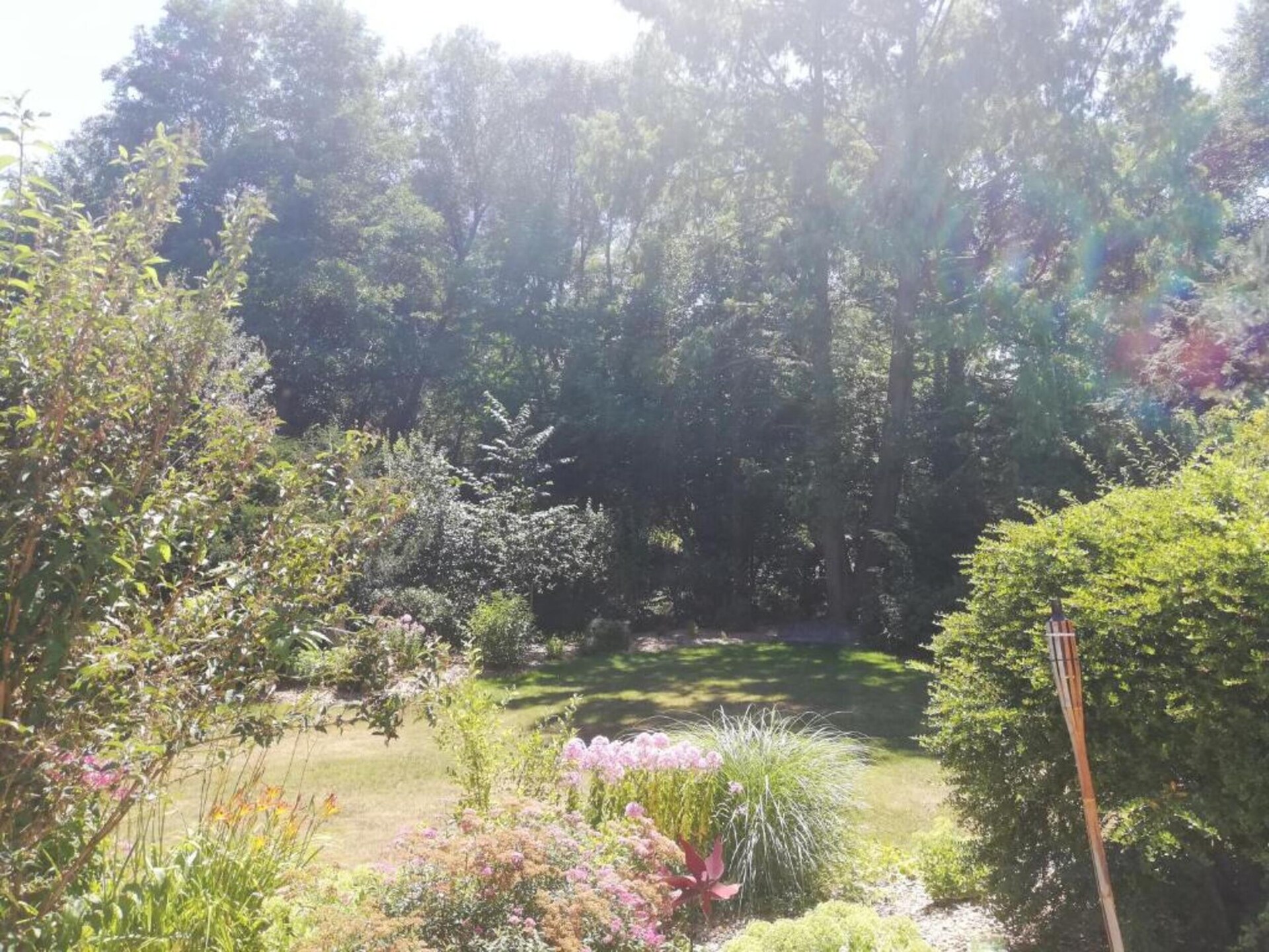 Vakantiehuis Morgensonne in Tännesberg – Uitzicht, rust en wandelplezier - foto 25